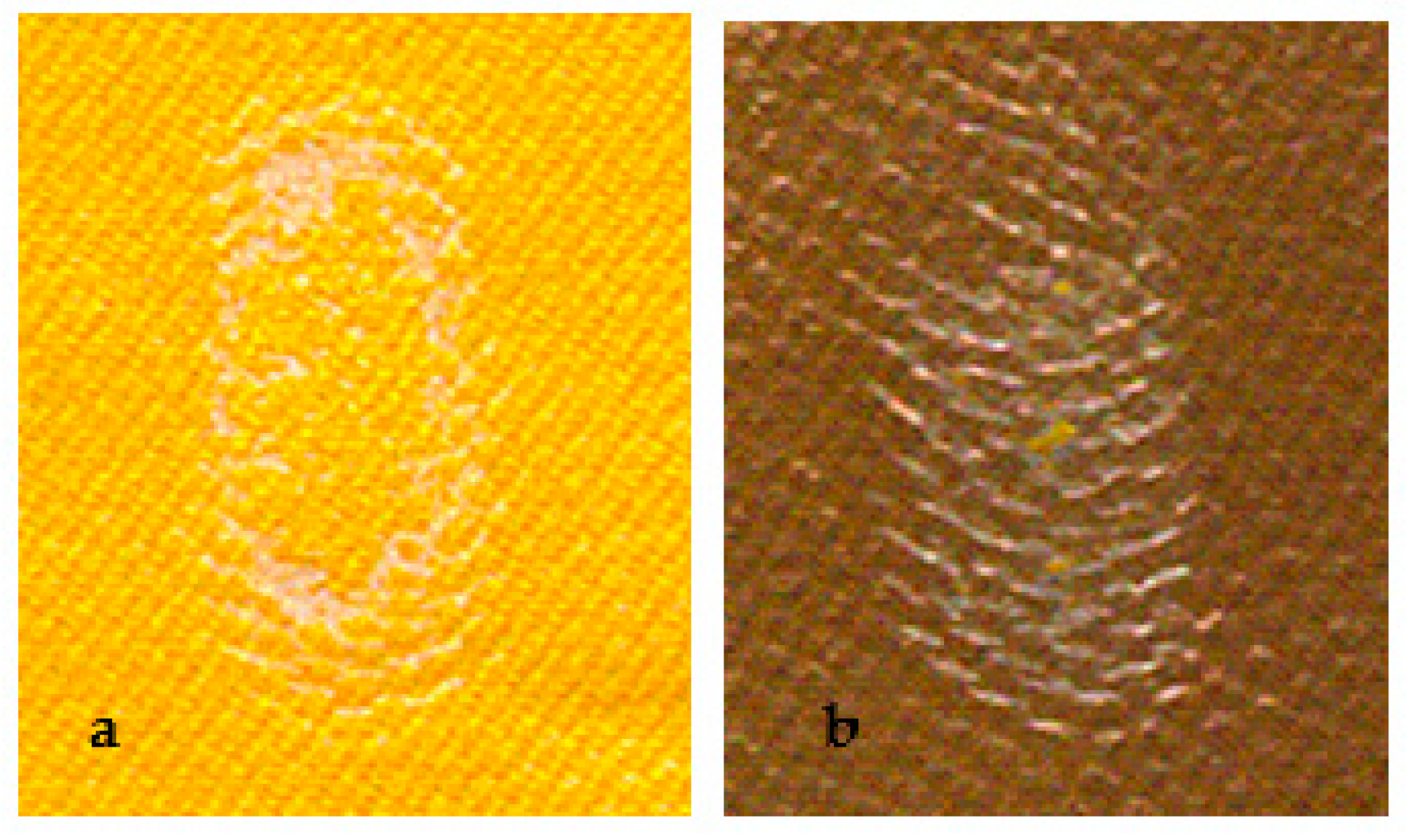 Coatings 11 00102 g012