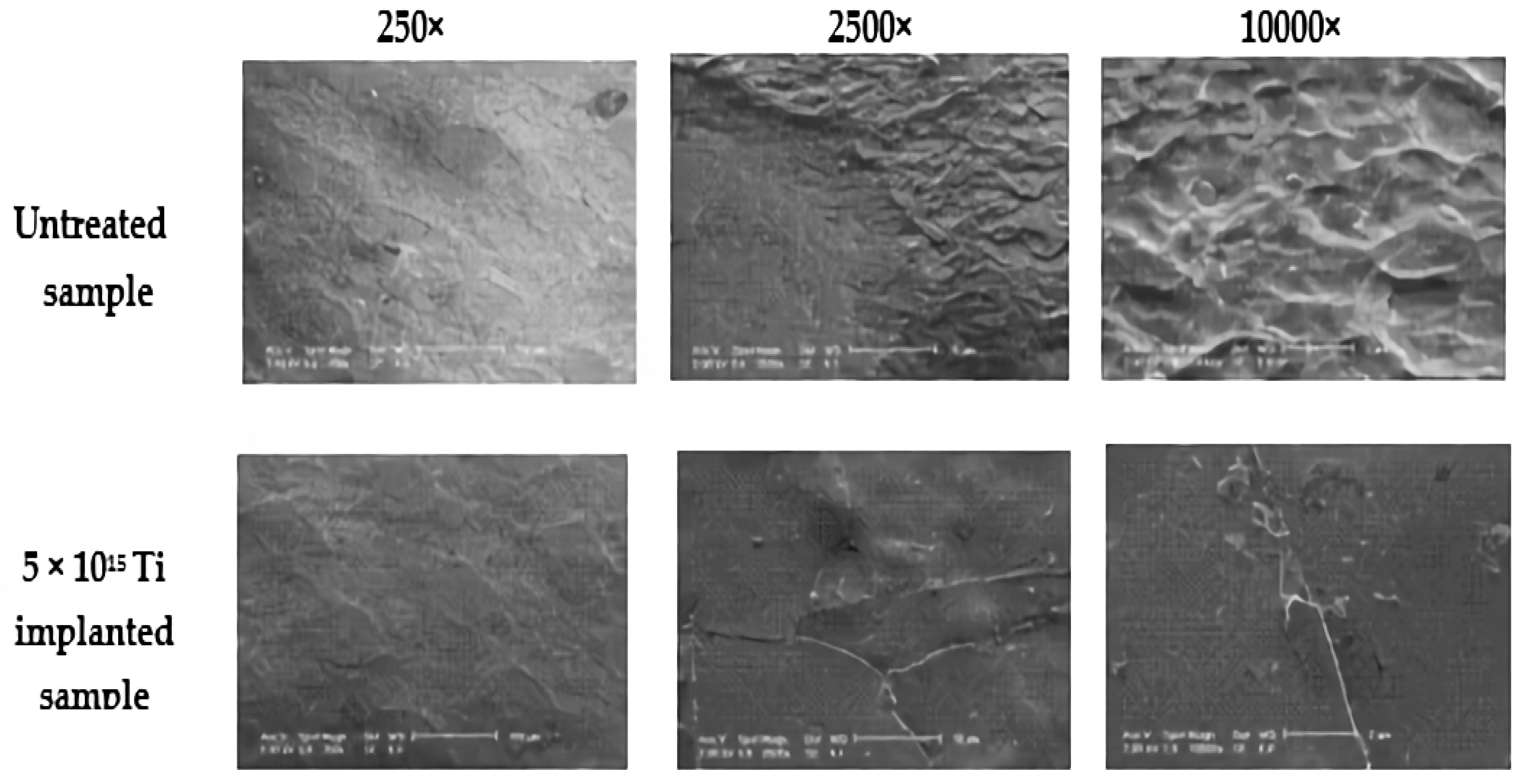 Coatings 11 00102 g014
