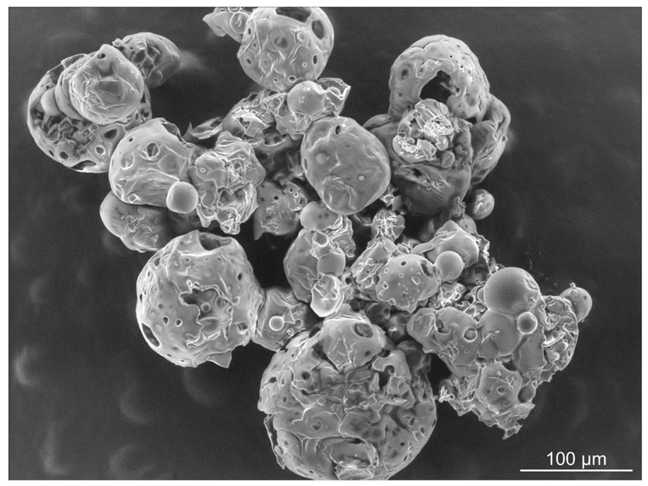 Coatings 11 00113 g001