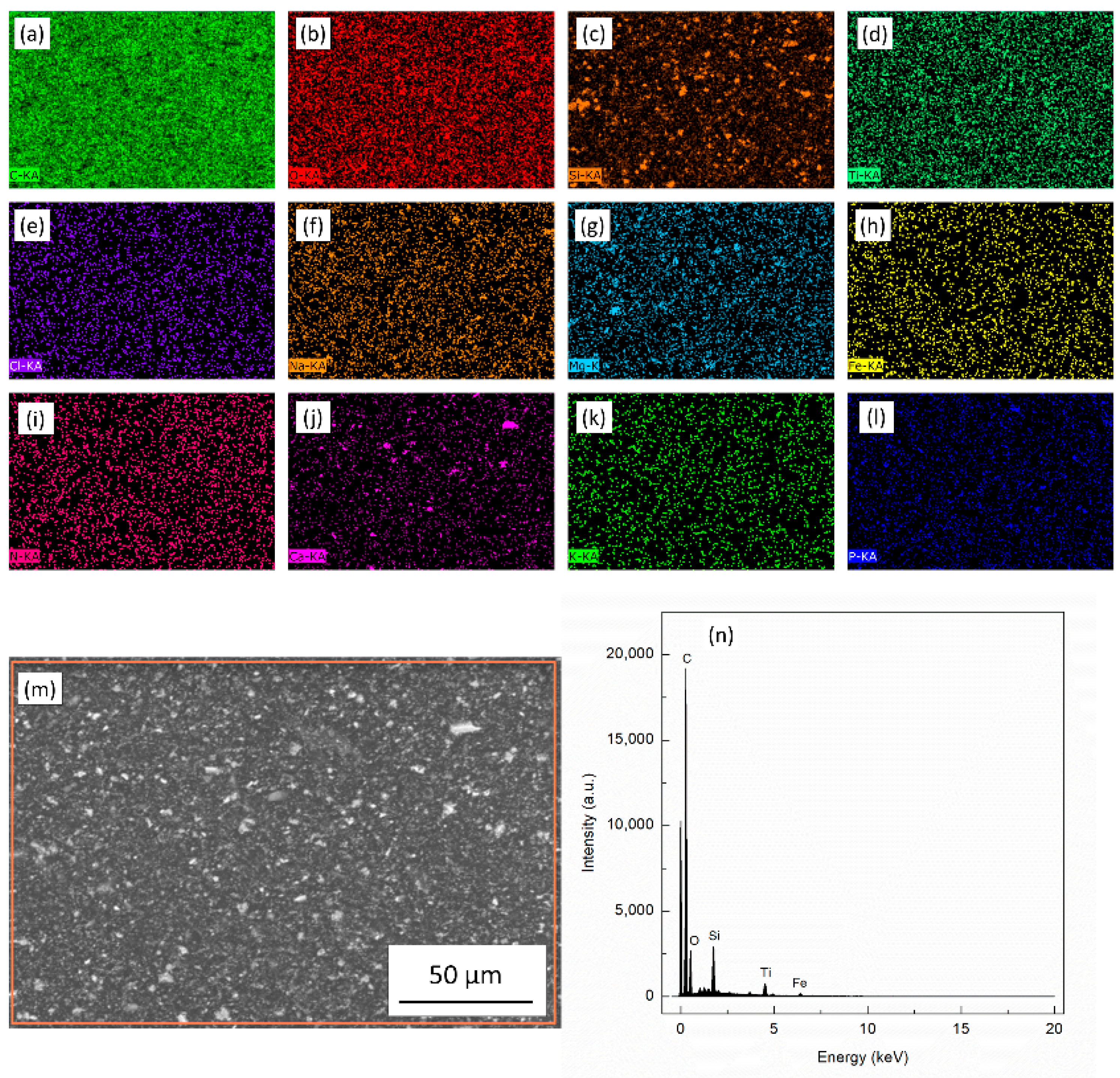 Coatings 11 00113 g002