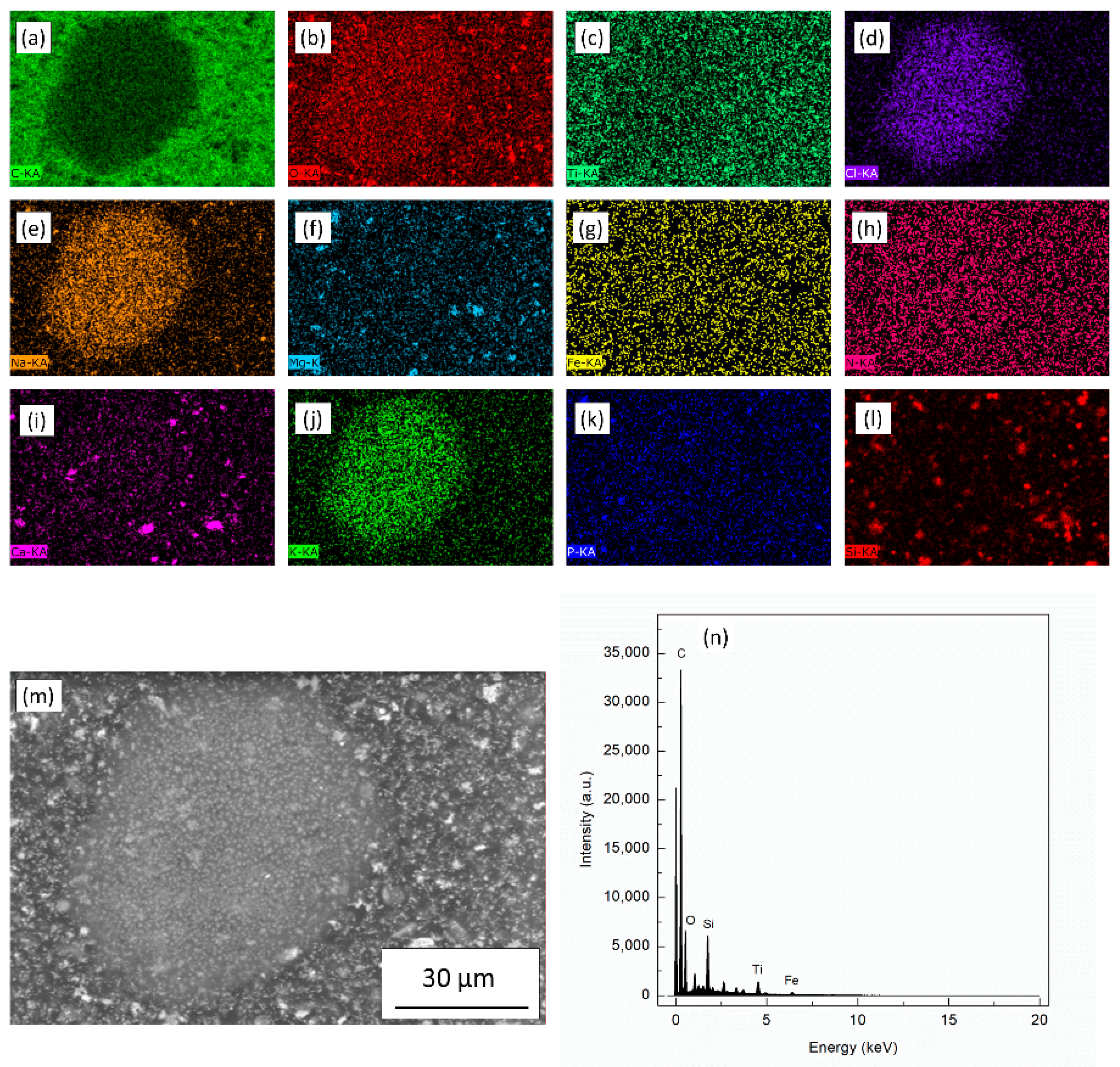 Coatings 11 00113 g003