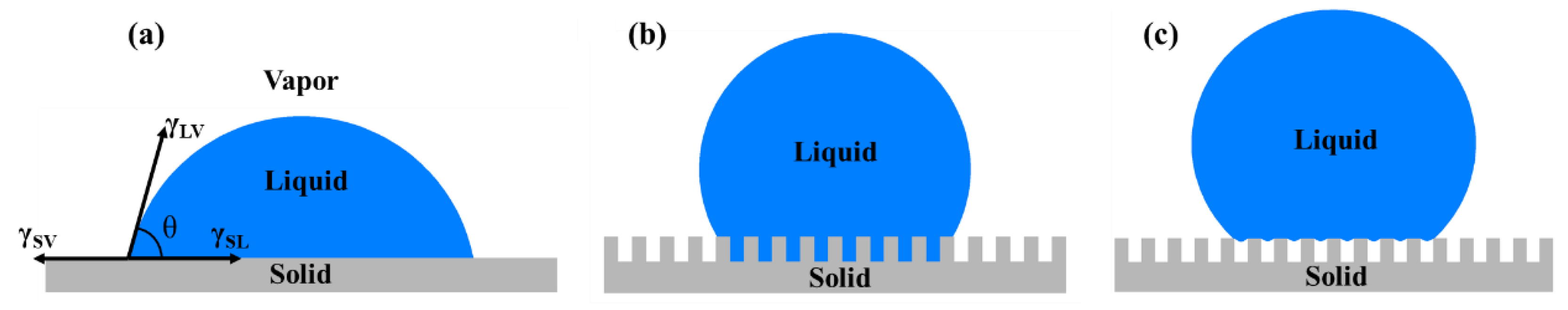 Coatings 11 00116 g001 Coatings 11 00116 g001