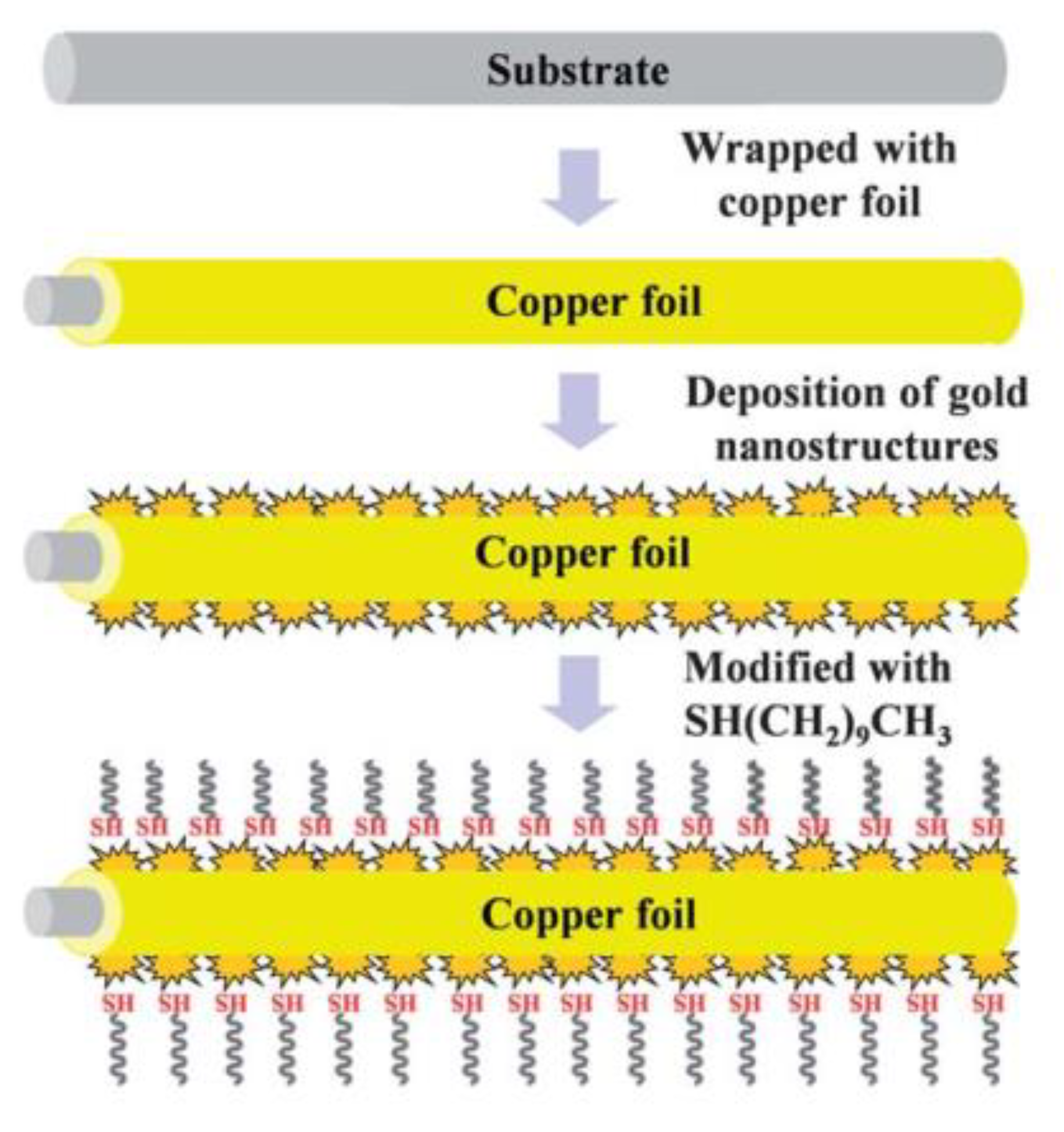 Coatings 11 00116 g005 Coatings 11 00116 g005