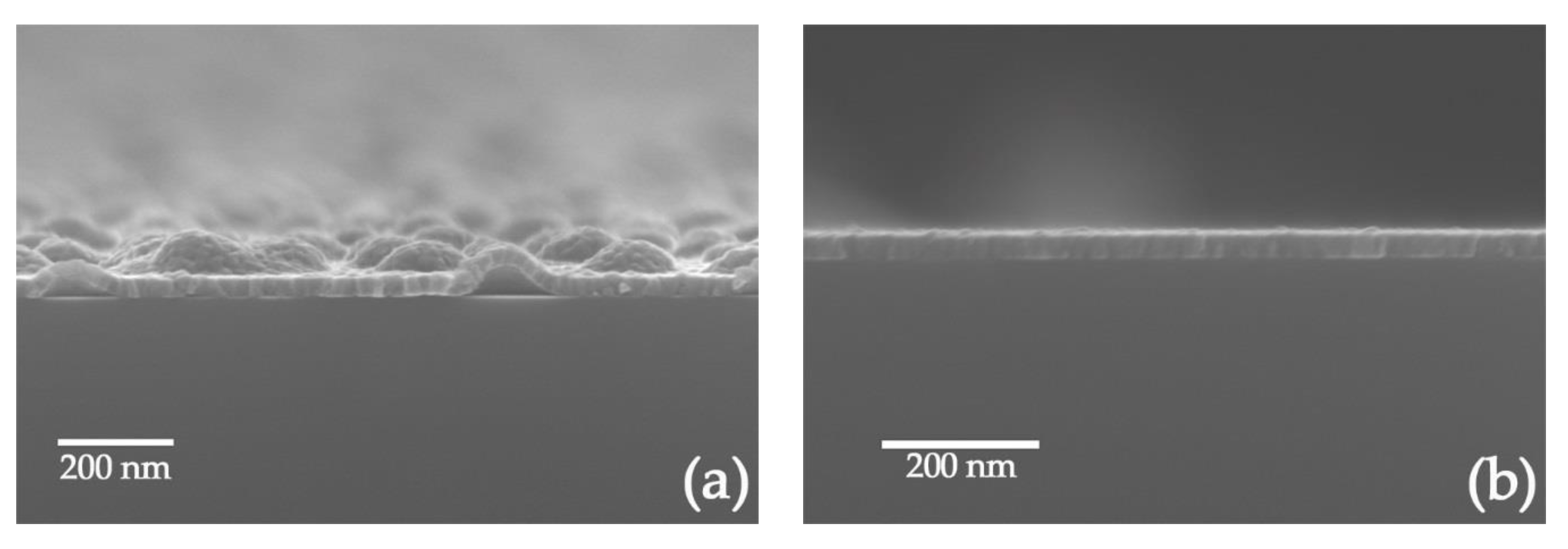 Coatings 11 00117 g004