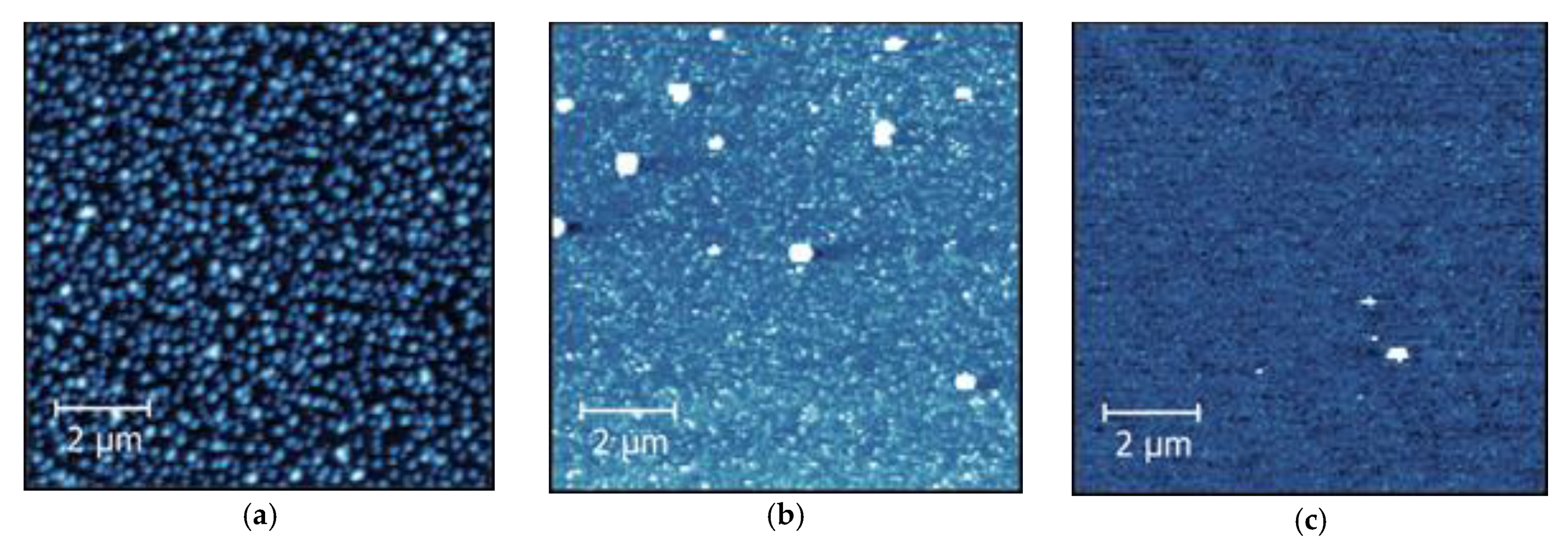 Coatings 11 00117 g005
