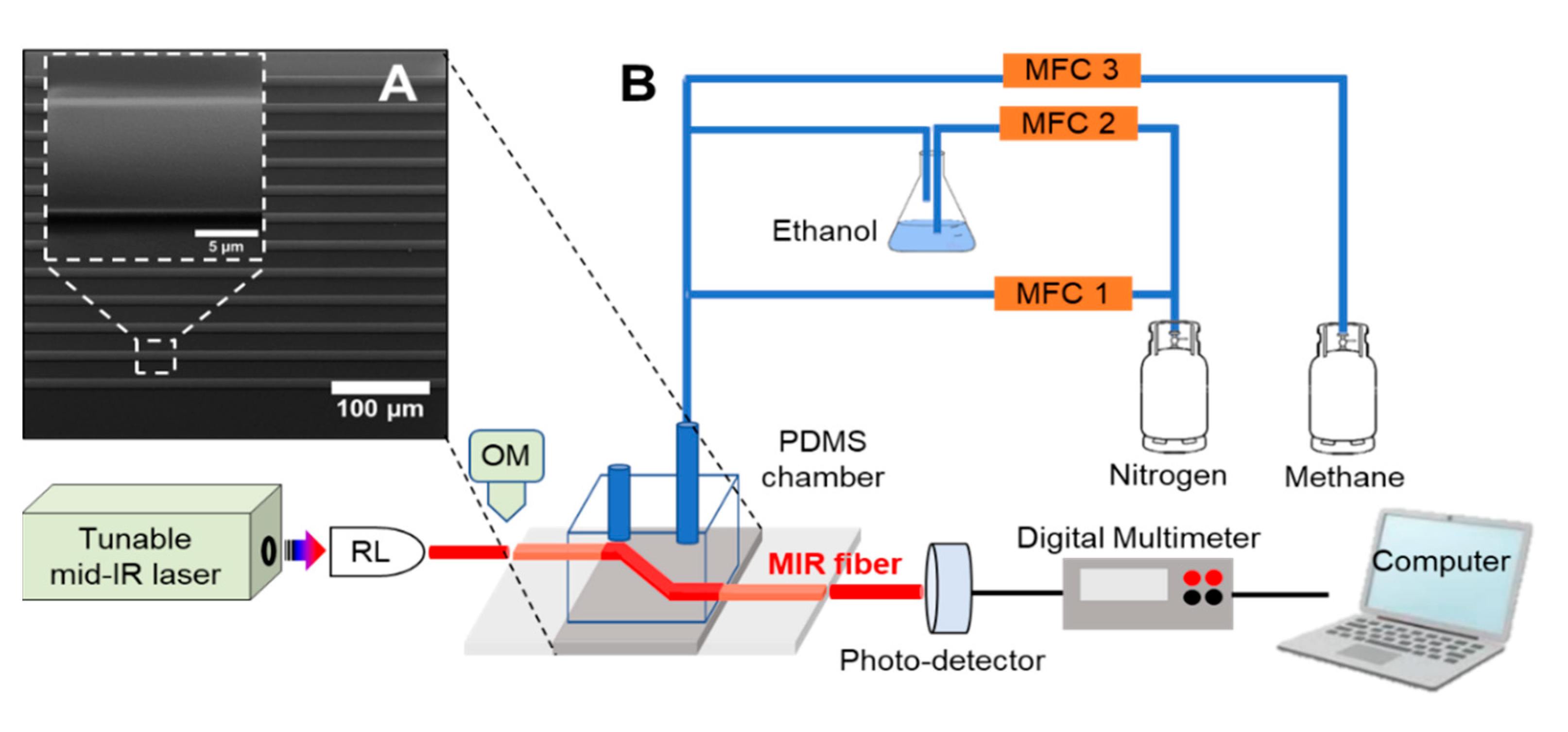 Coatings 11 00118 g001