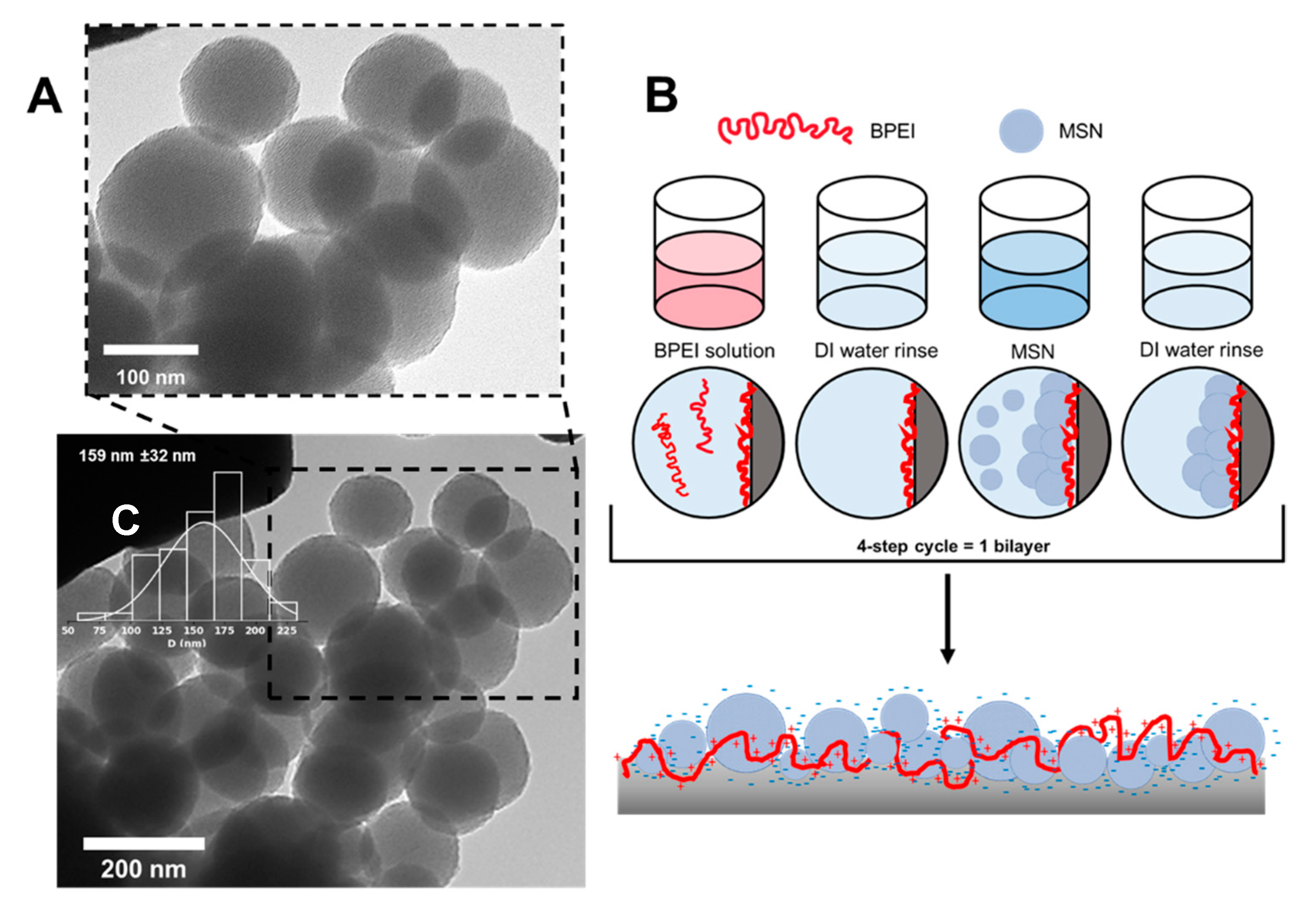 Coatings 11 00118 g002
