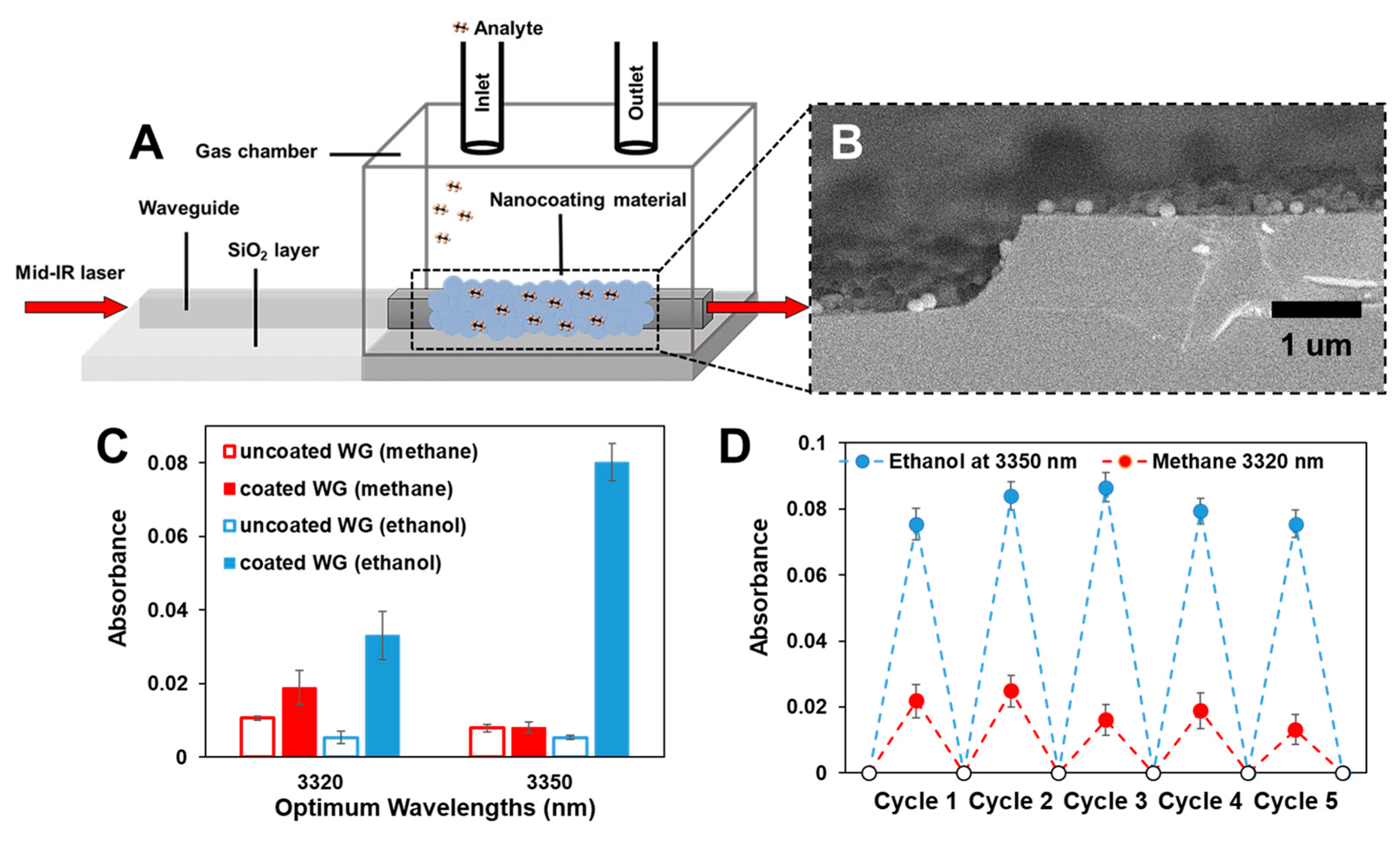 Coatings 11 00118 g005