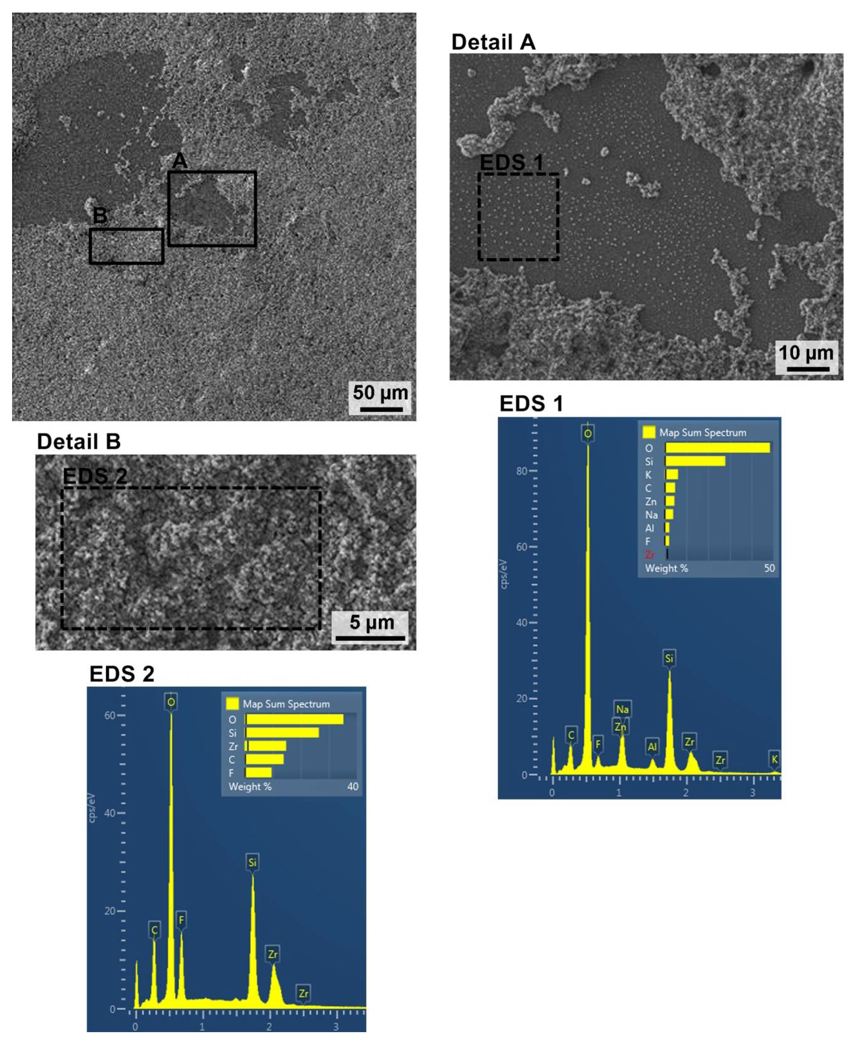 Coatings 11 00119 g003