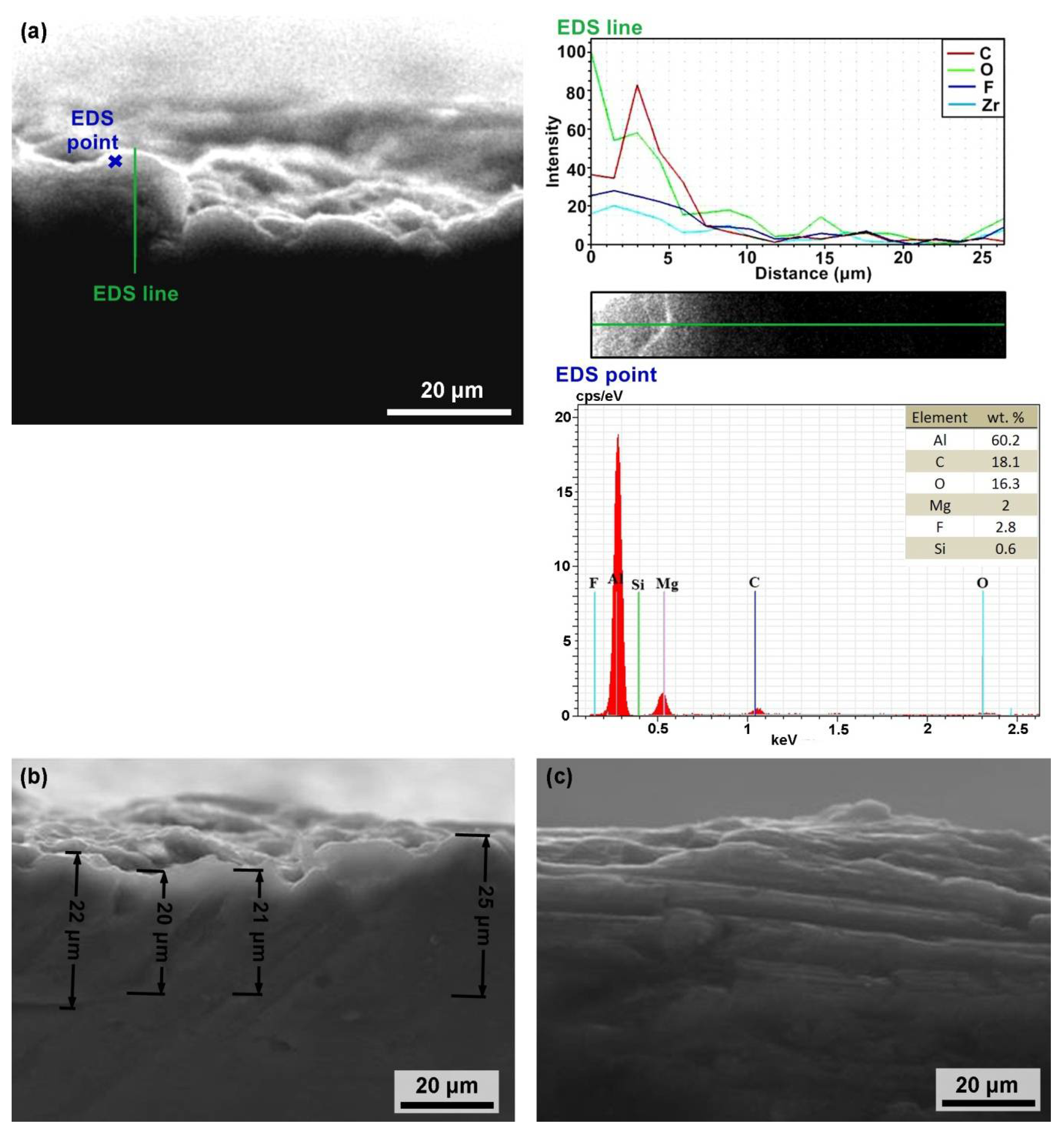 Coatings 11 00119 g006
