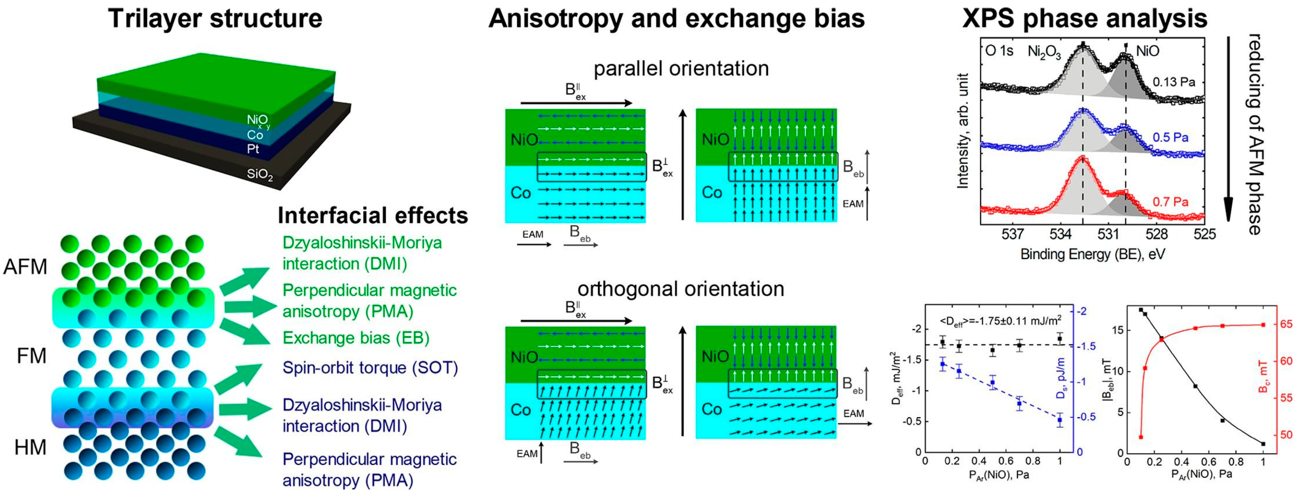 Coatings 11 00122 g005