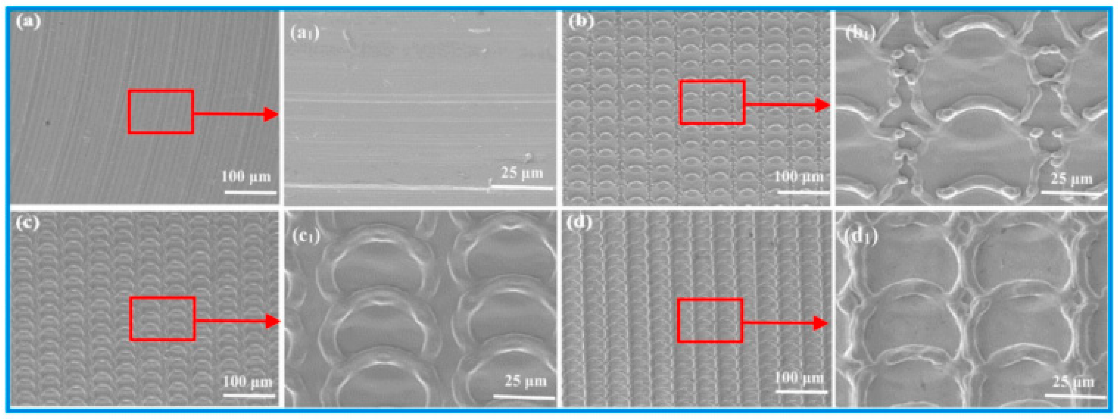 Coatings 11 00124 g003