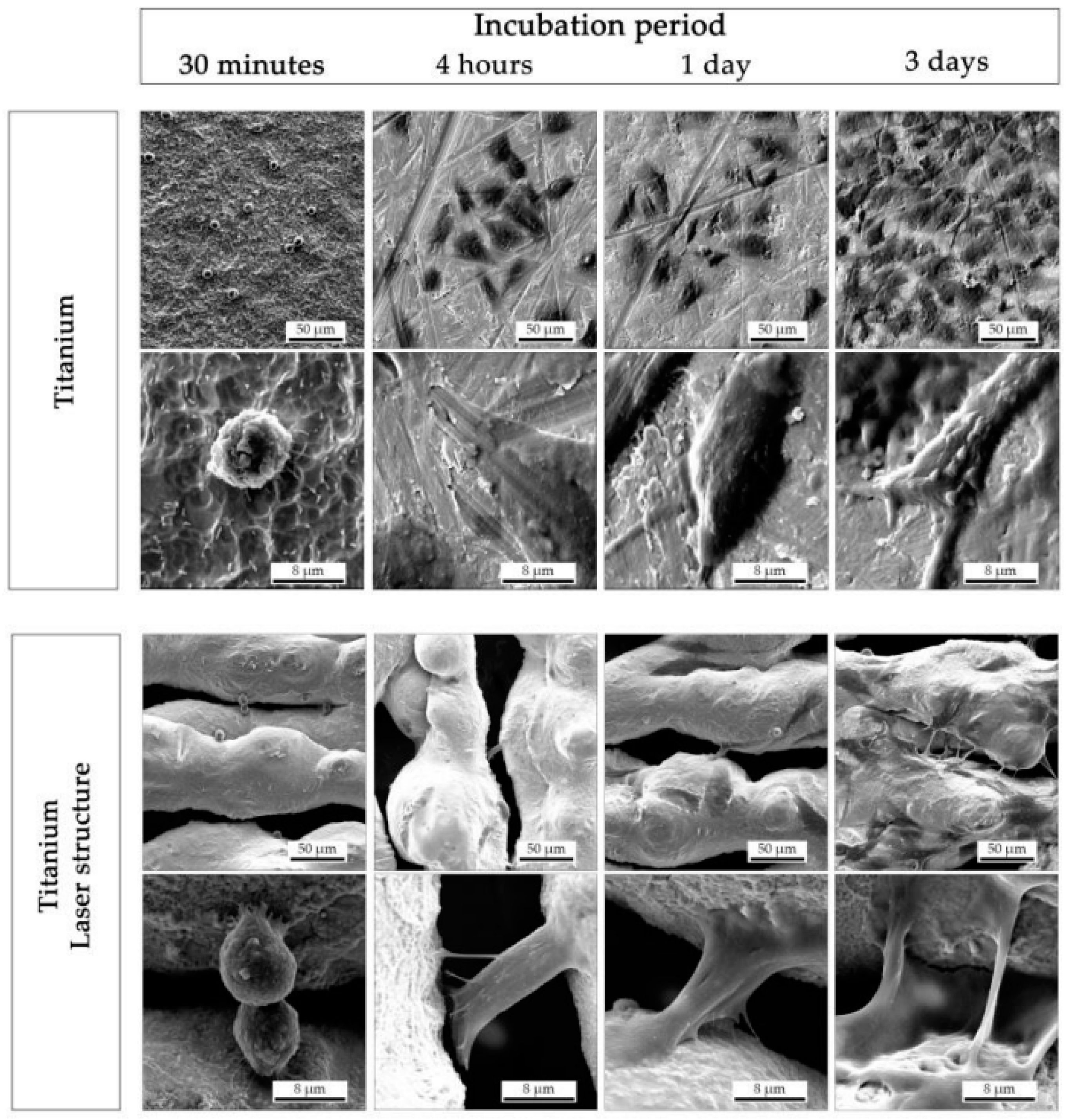 Coatings 11 00124 g004a