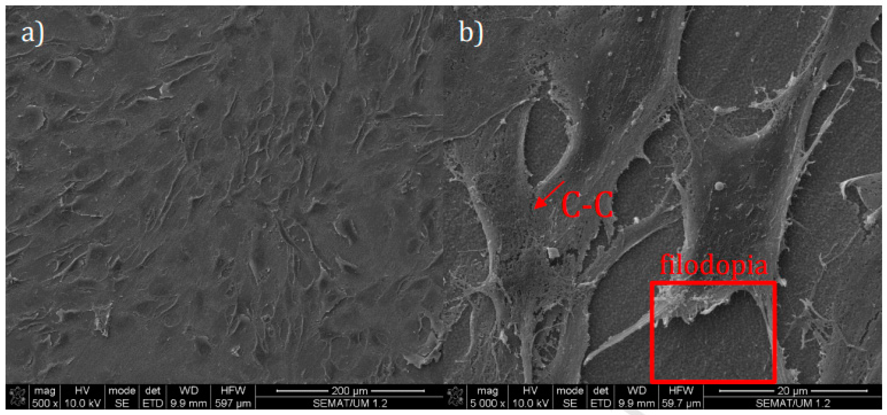 Coatings 11 00124 g006