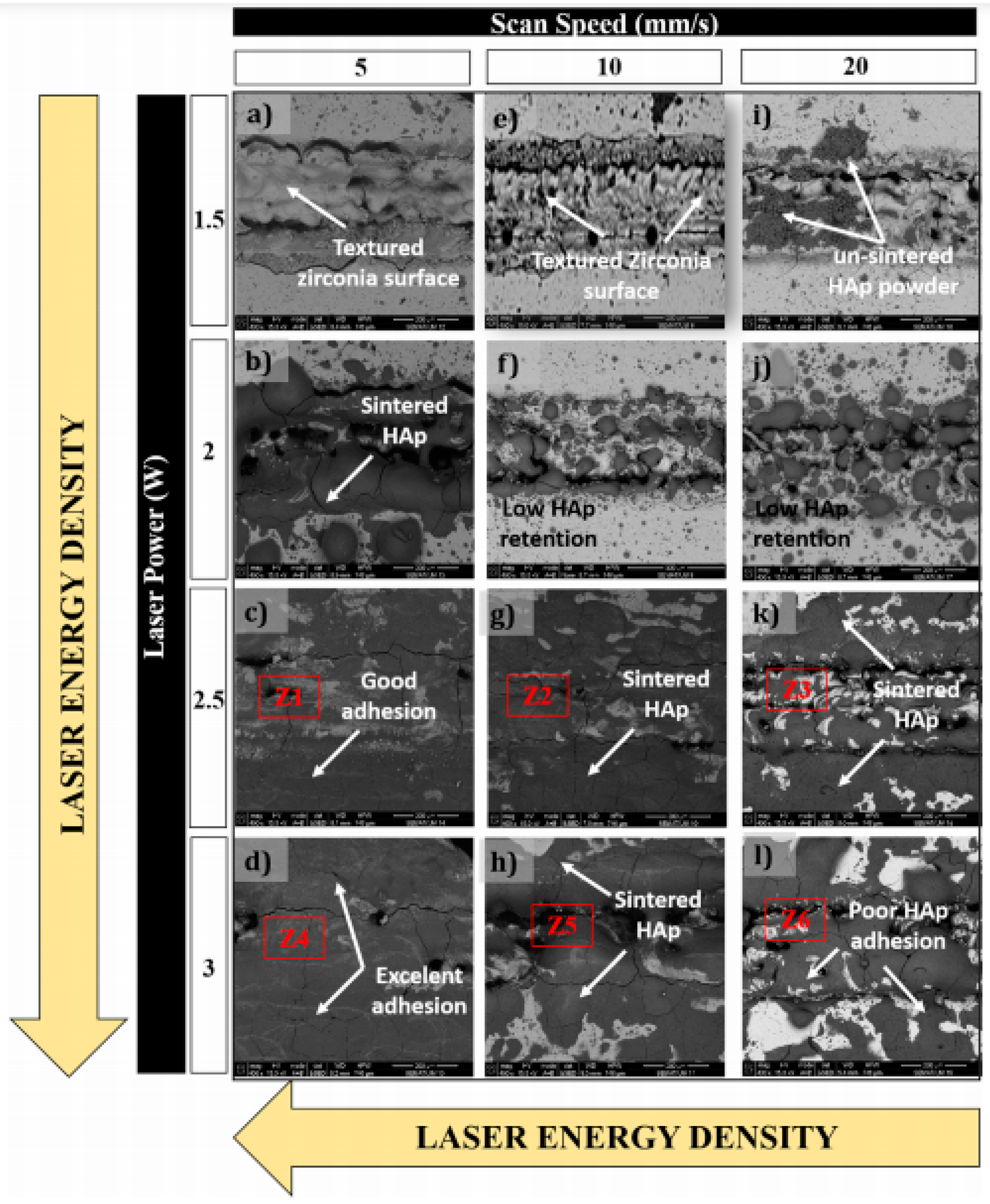 Coatings 11 00124 g007