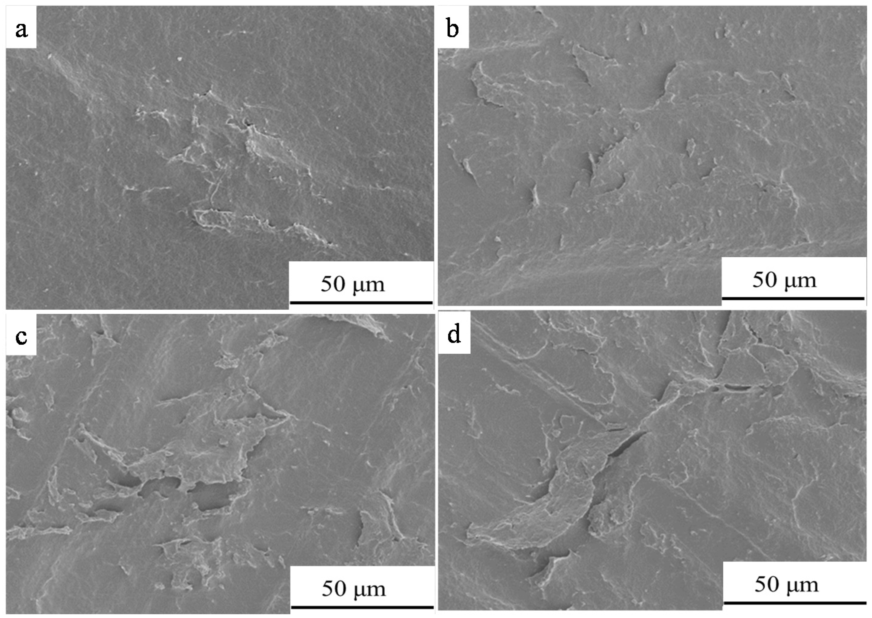 Coatings 11 00128 g003 Coatings 11 00128 g003