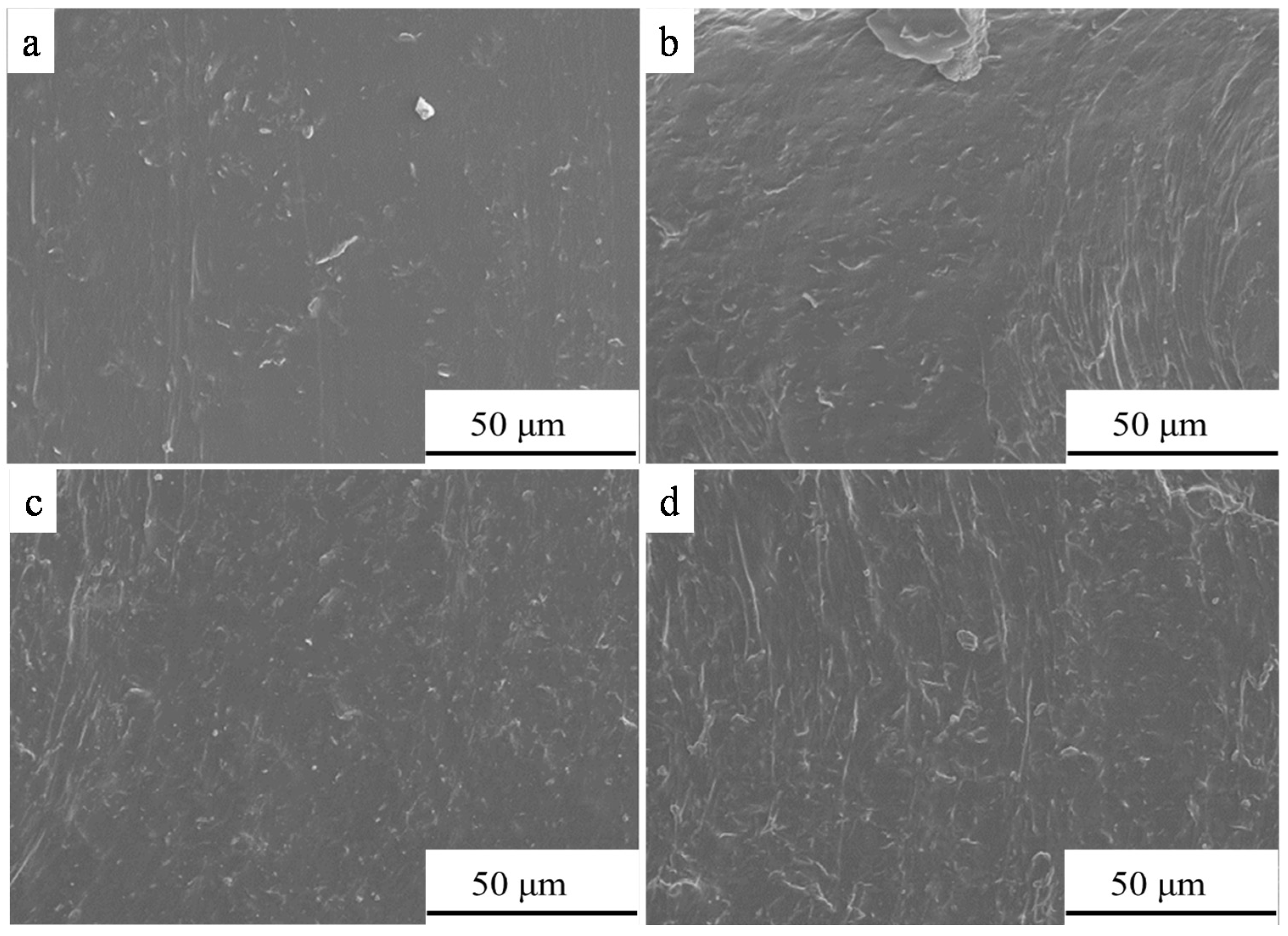 Coatings 11 00128 g004 Coatings 11 00128 g004