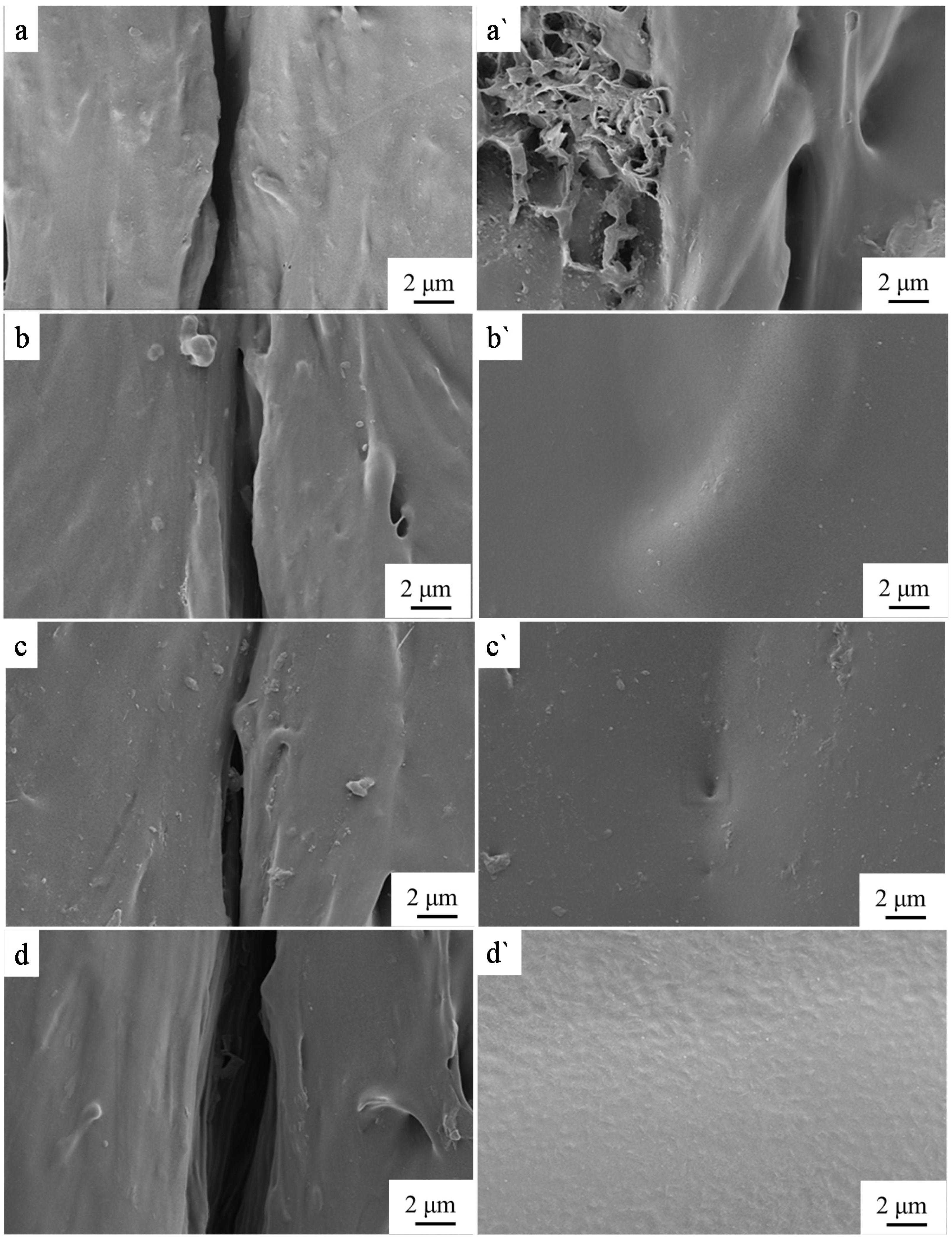 Coatings 11 00128 g013 Coatings 11 00128 g013