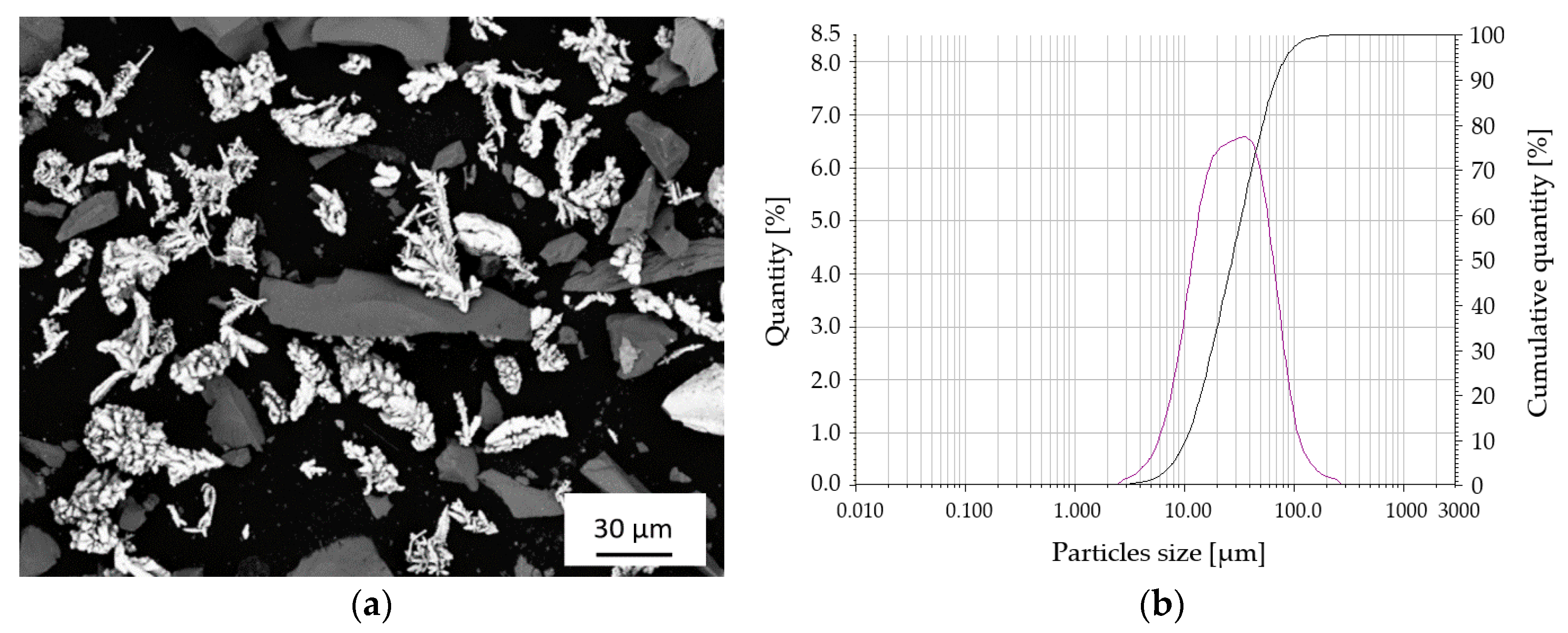 Coatings 11 00134 g001 Coatings 11 00134 g001