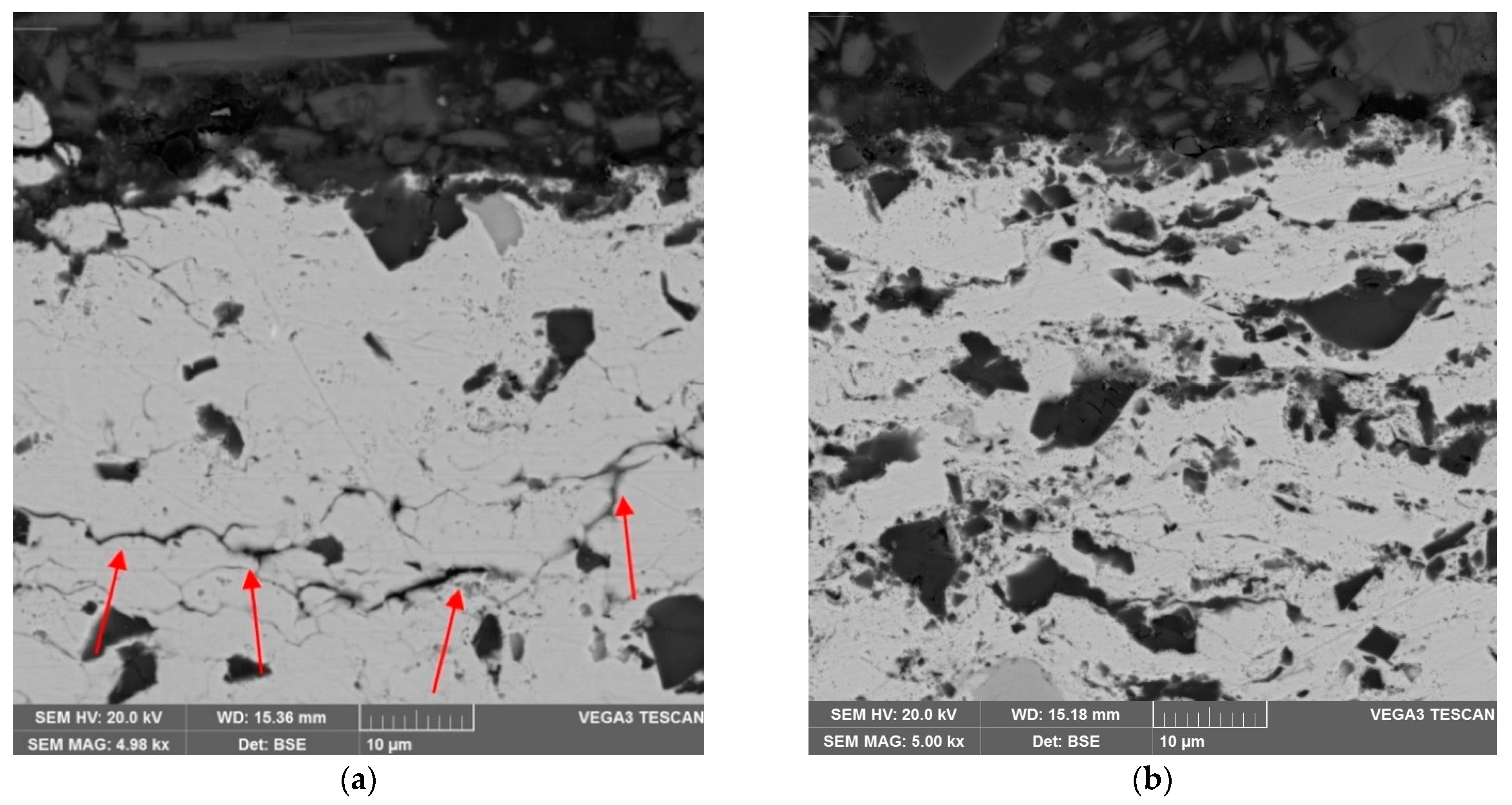 Coatings 11 00134 g007 Coatings 11 00134 g007