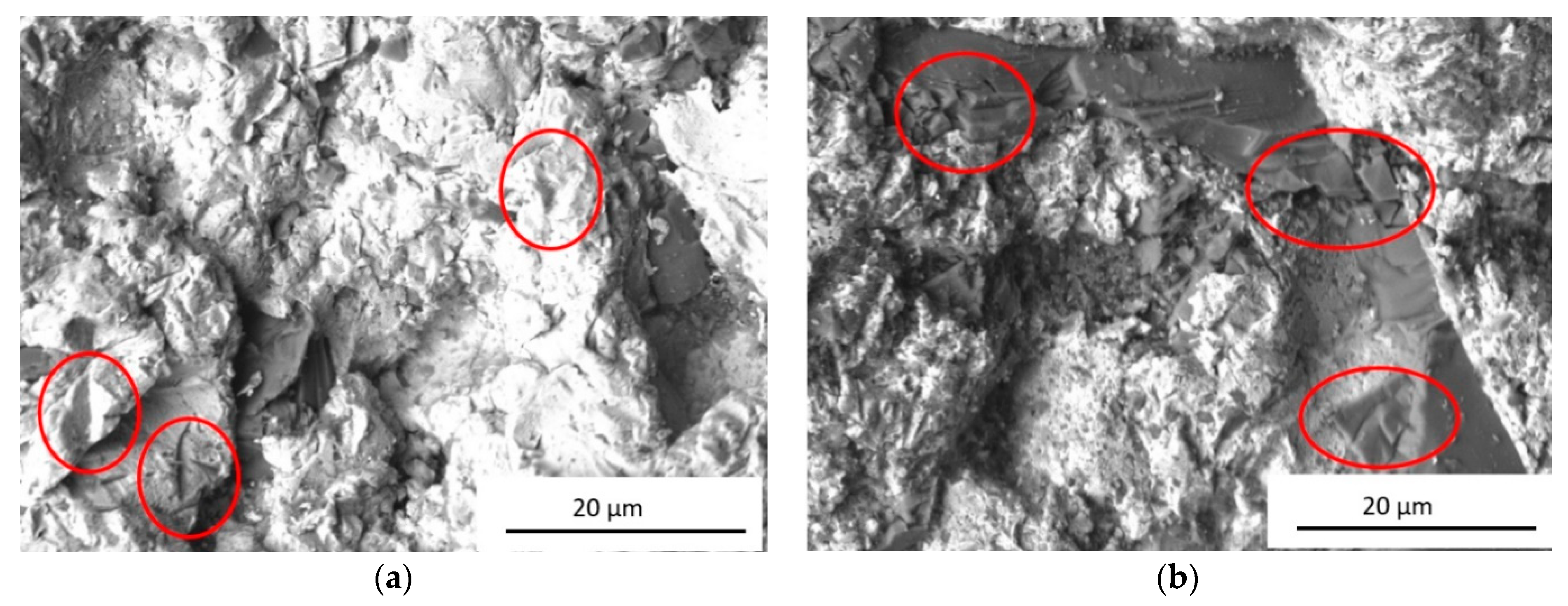 Coatings 11 00134 g009 Coatings 11 00134 g009
