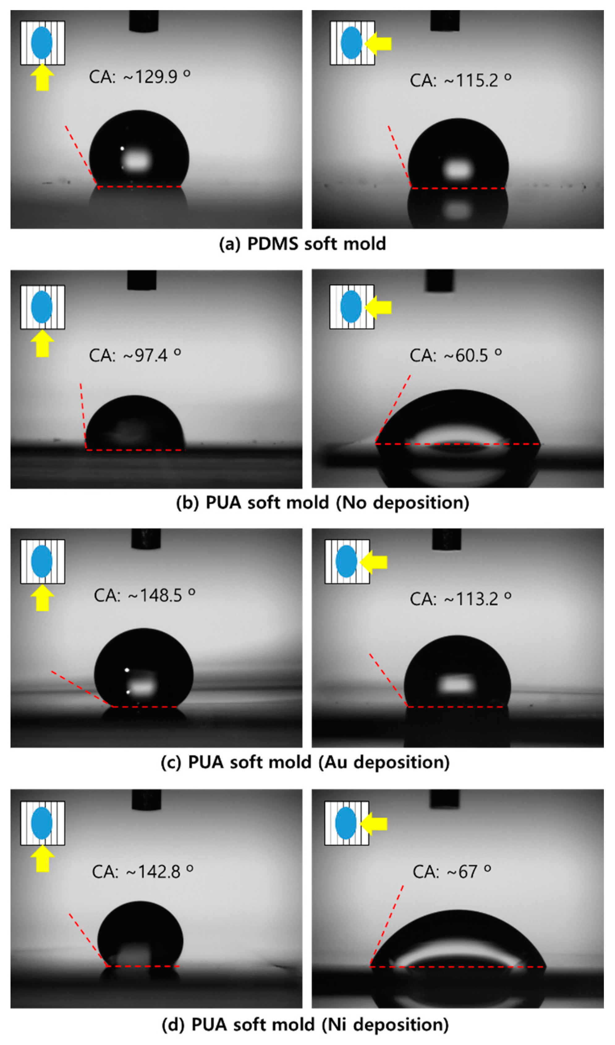 Coatings 11 00137 g003
