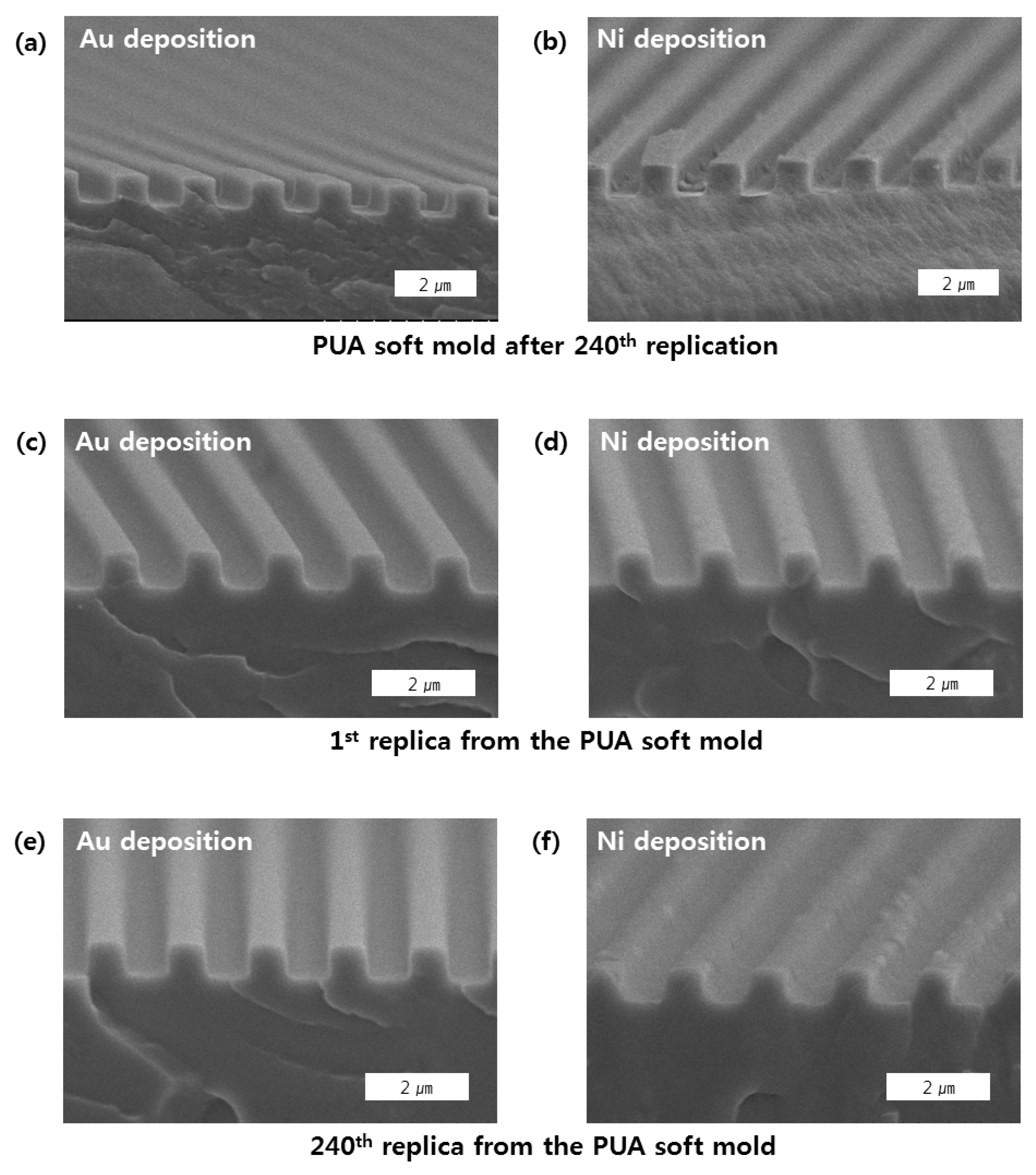 Coatings 11 00137 g005