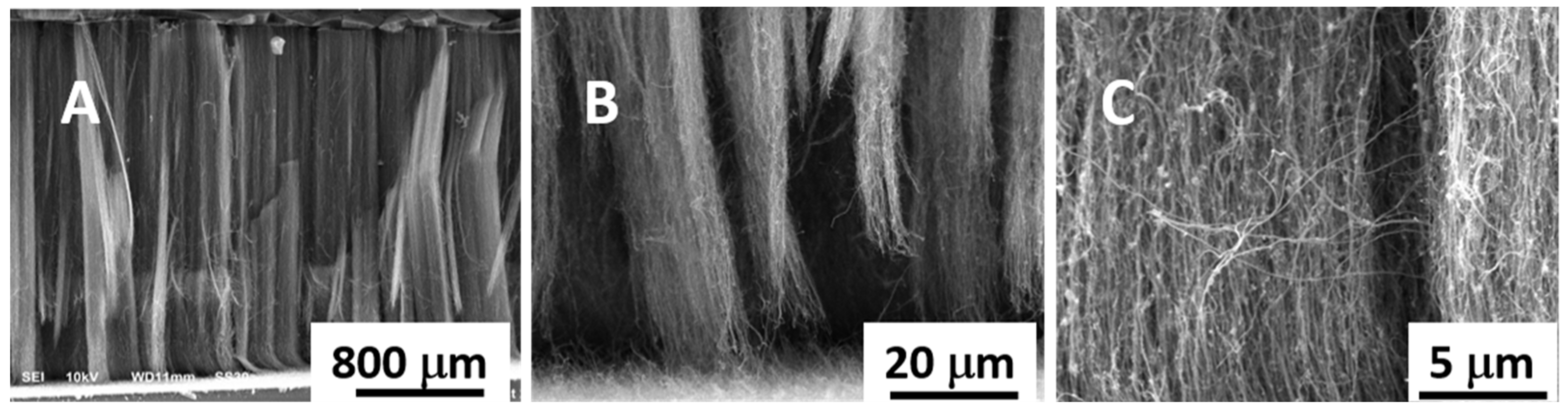 Coatings 11 00138 g003