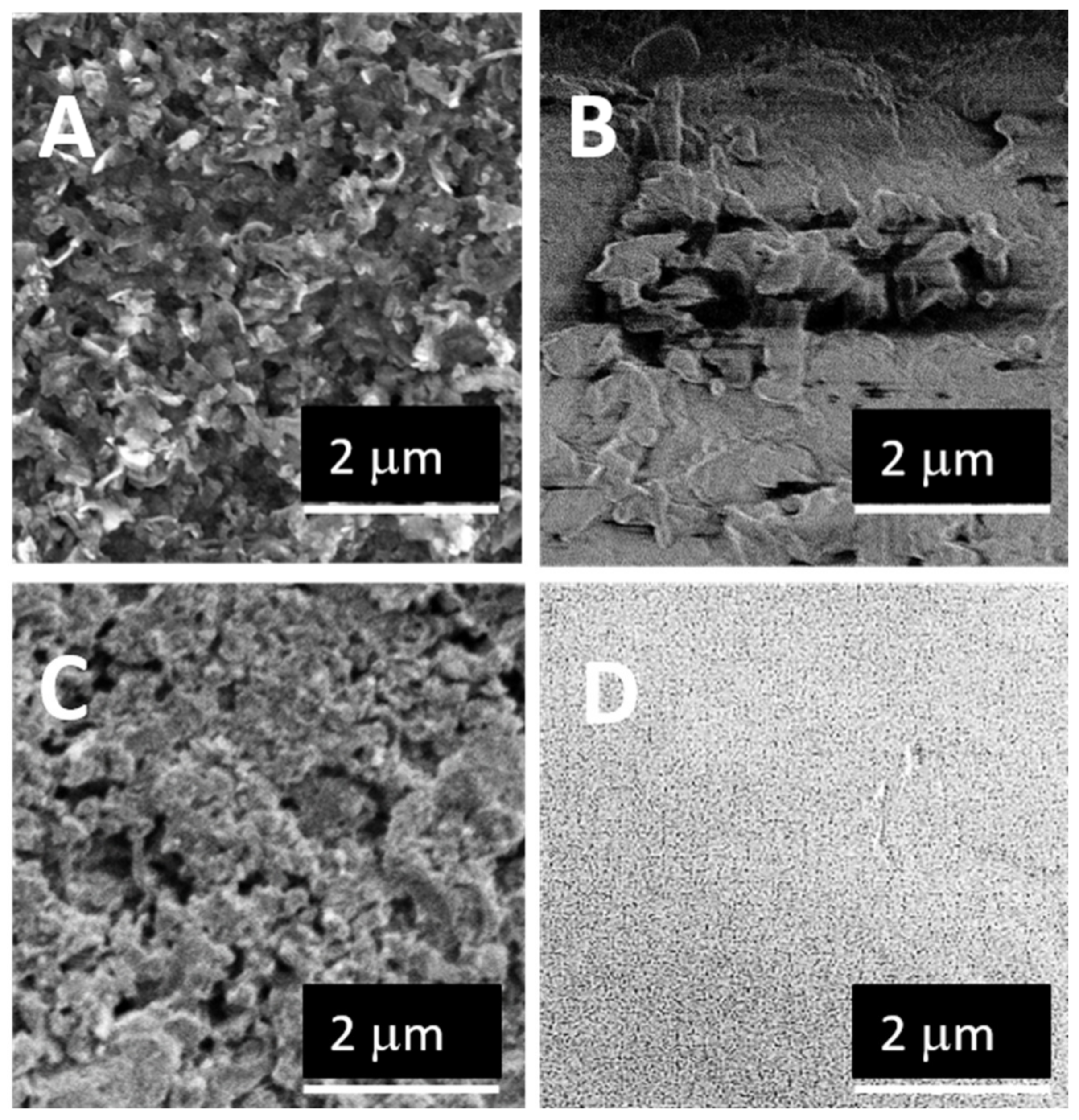 Coatings 11 00138 g013
