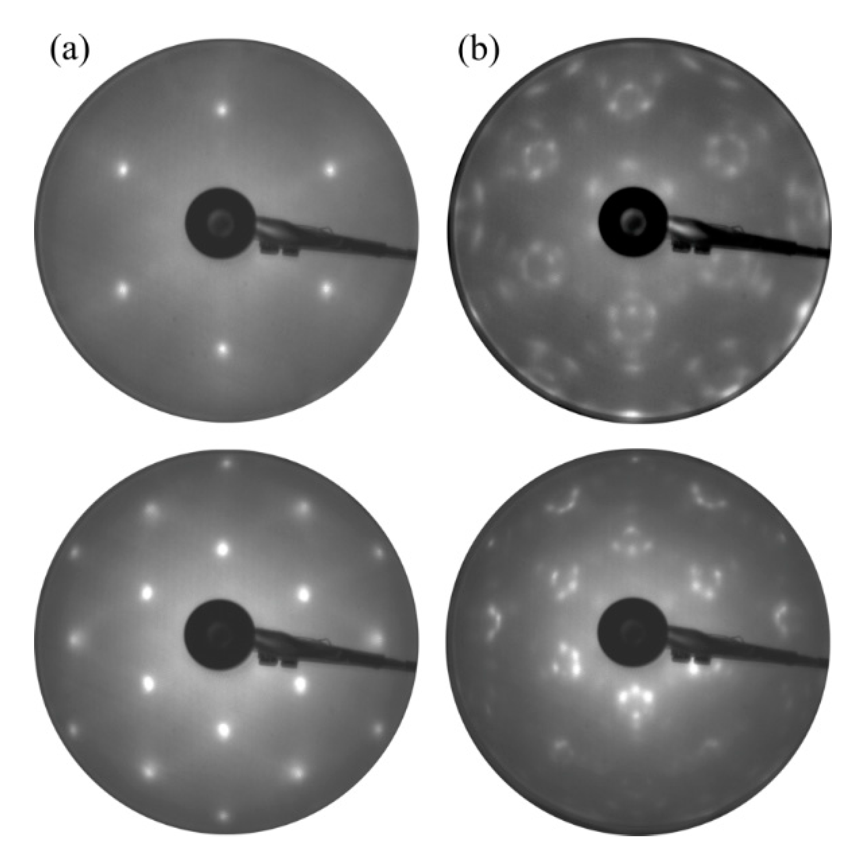 Coatings 11 00145 g005