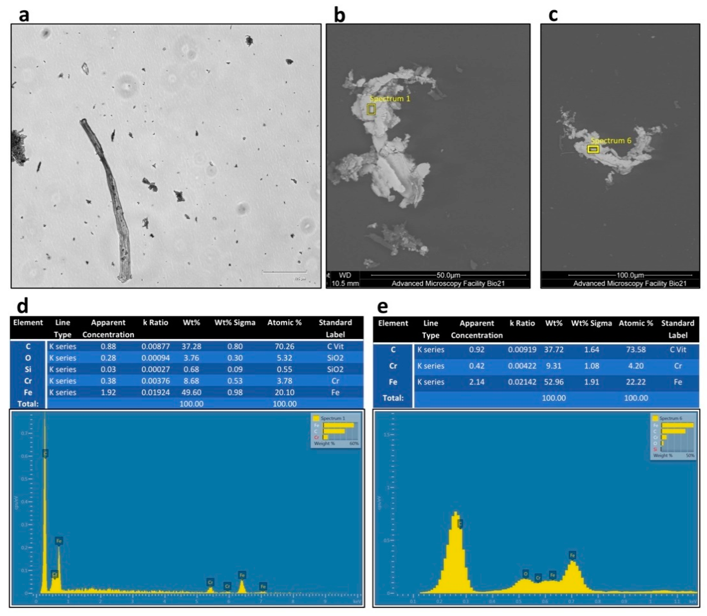 Coatings 11 00146 g003