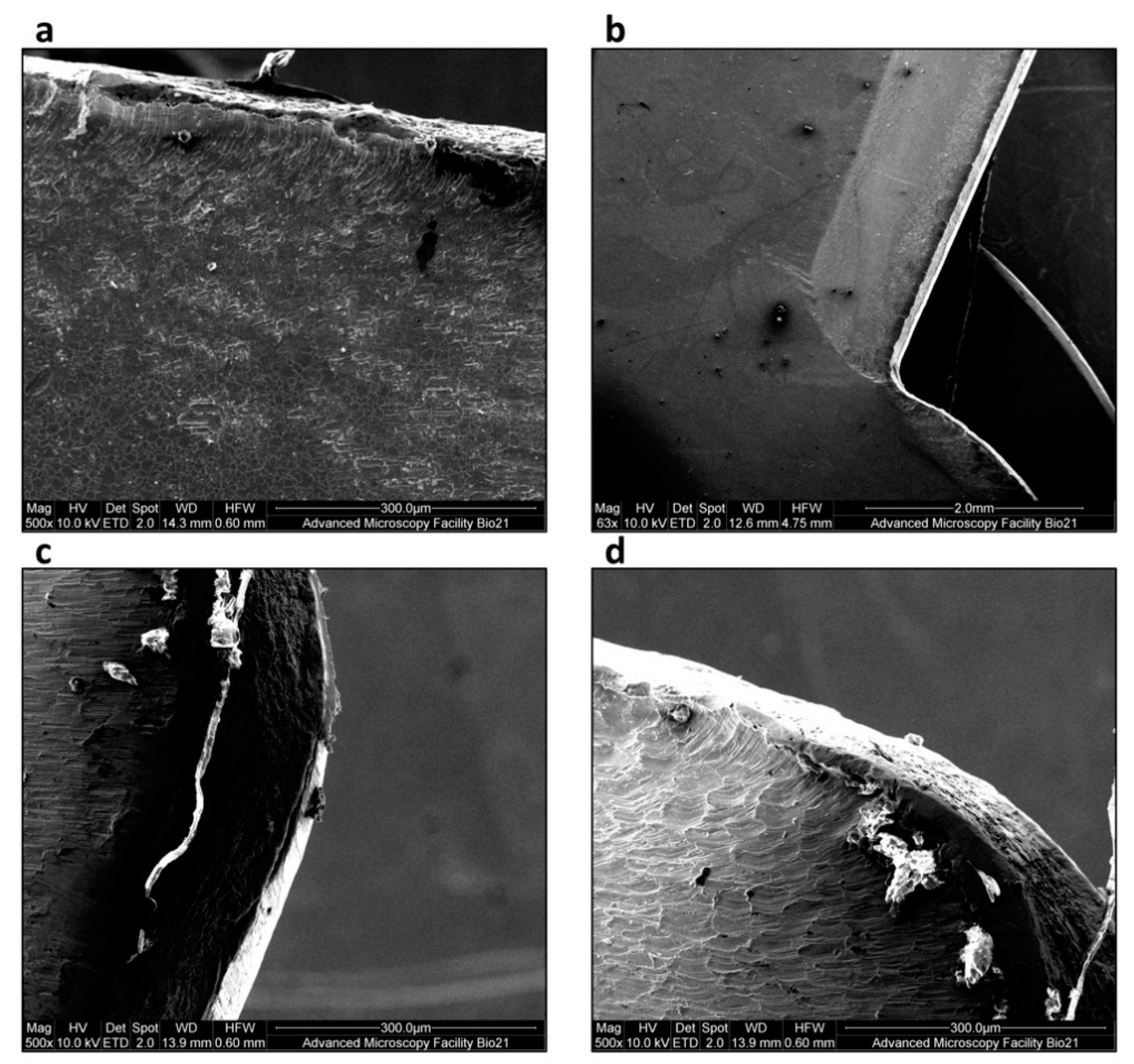 Coatings 11 00146 g005