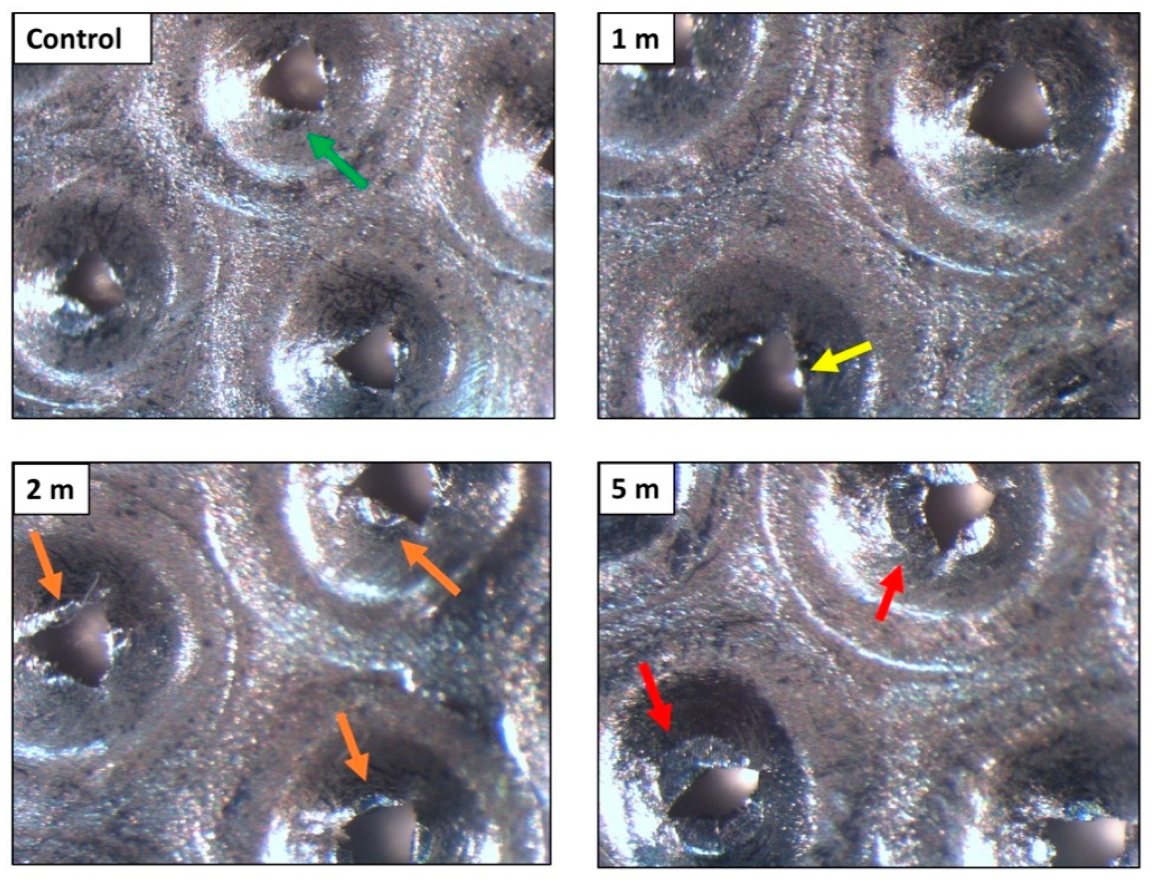Coatings 11 00146 g006
