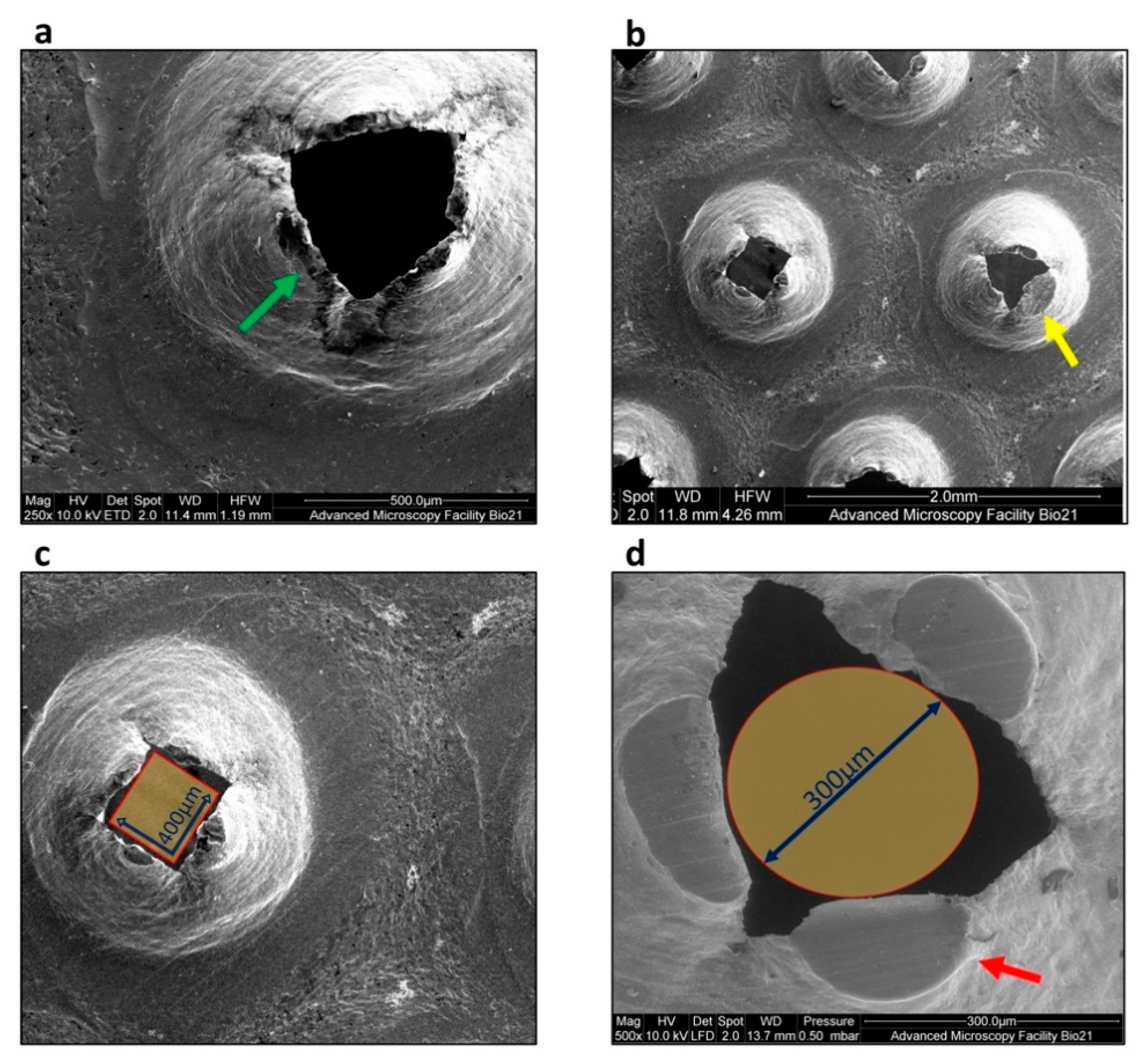 Coatings 11 00146 g007