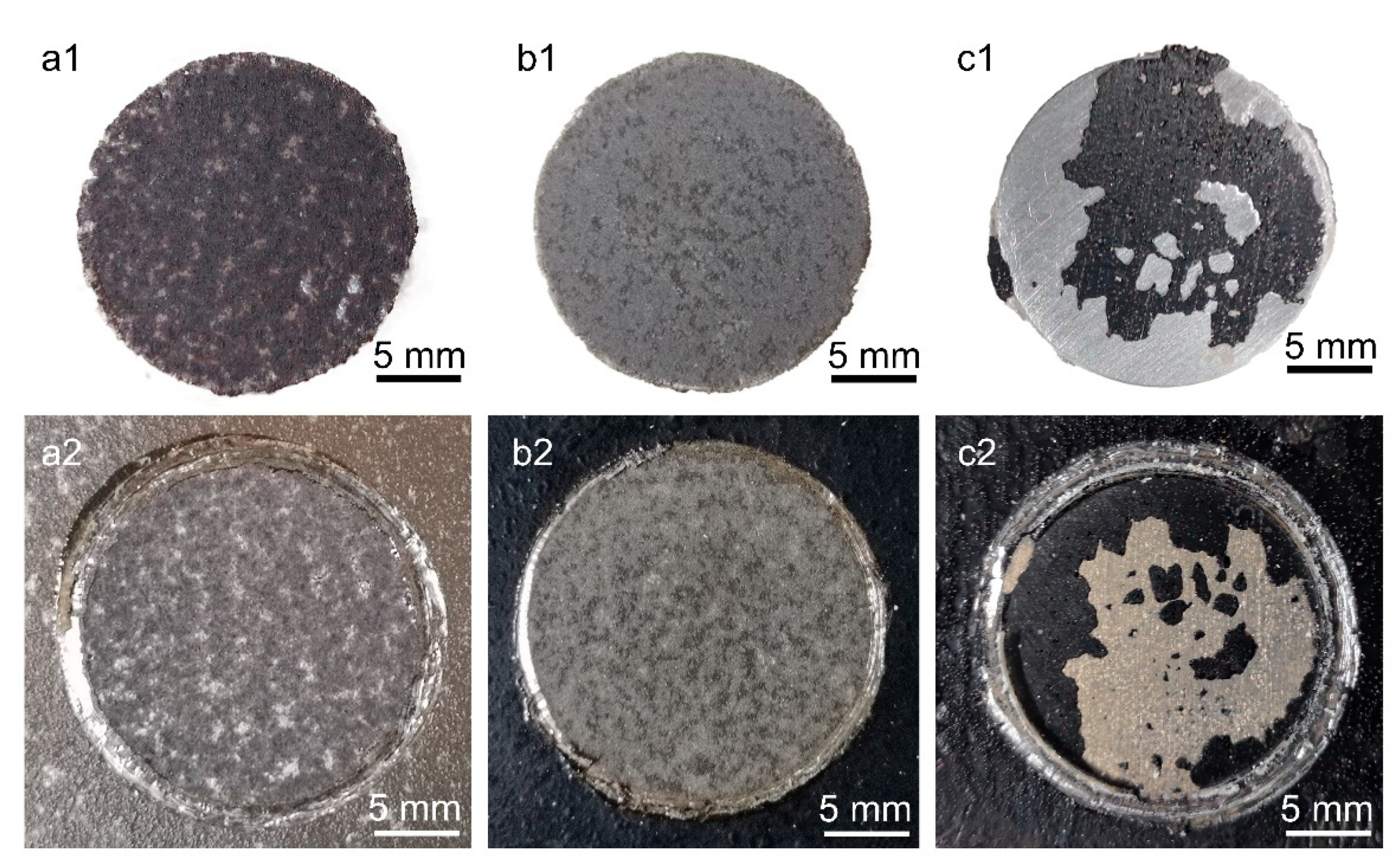 Coatings 11 00152 g006