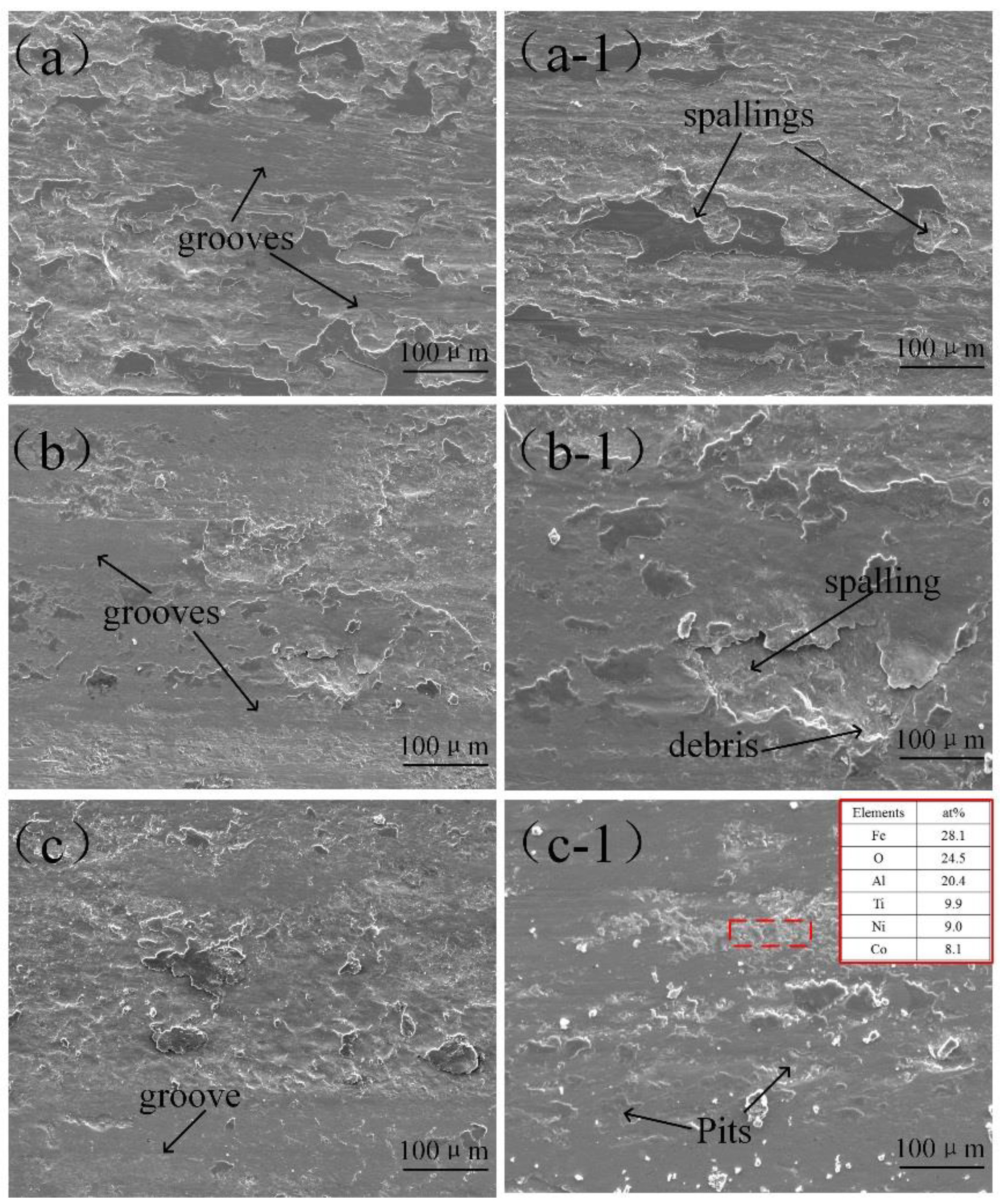 Coatings 11 00155 g011