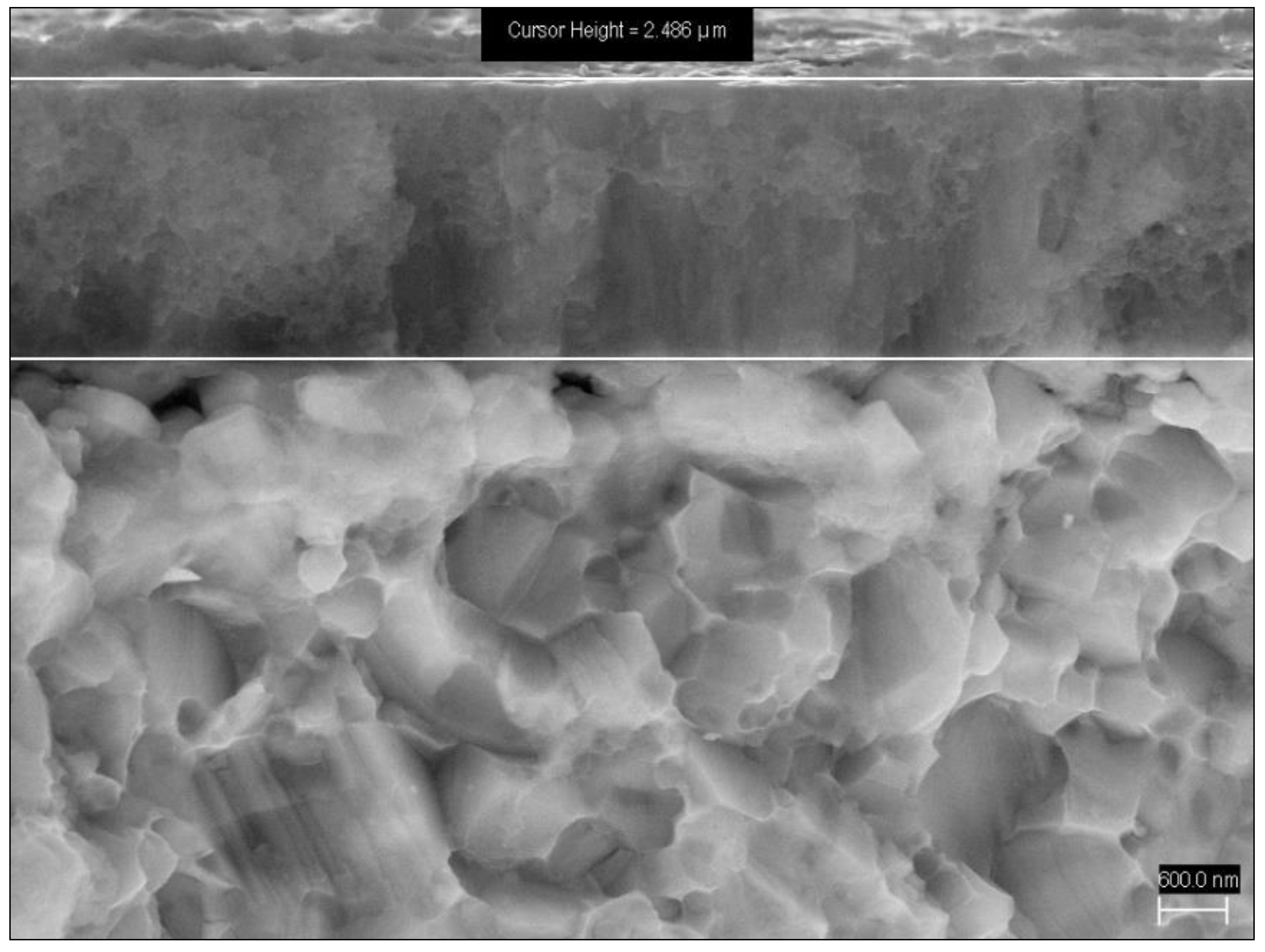 Coatings 11 00157 g001 Coatings 11 00157 g001