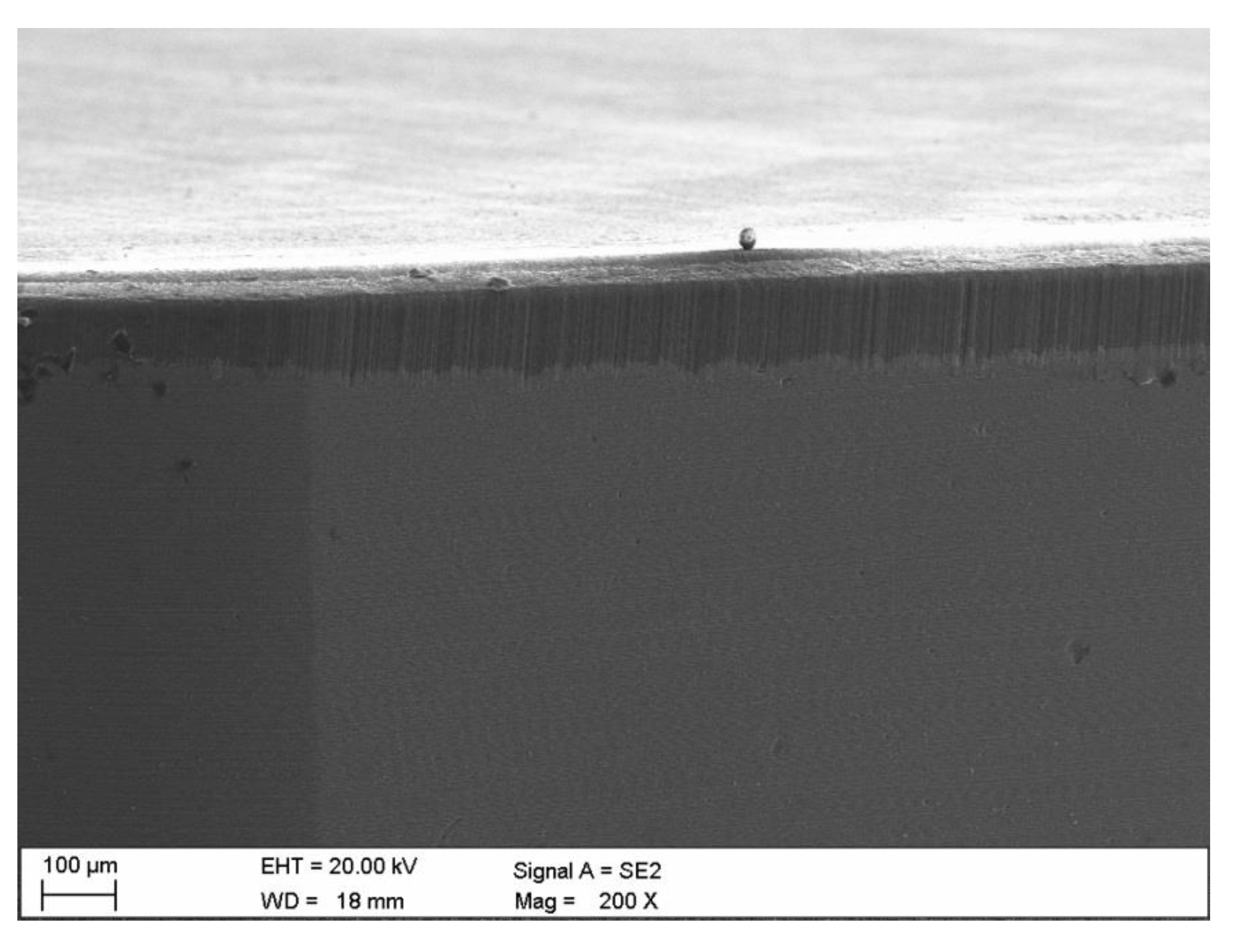 Coatings 11 00157 g004 Coatings 11 00157 g004