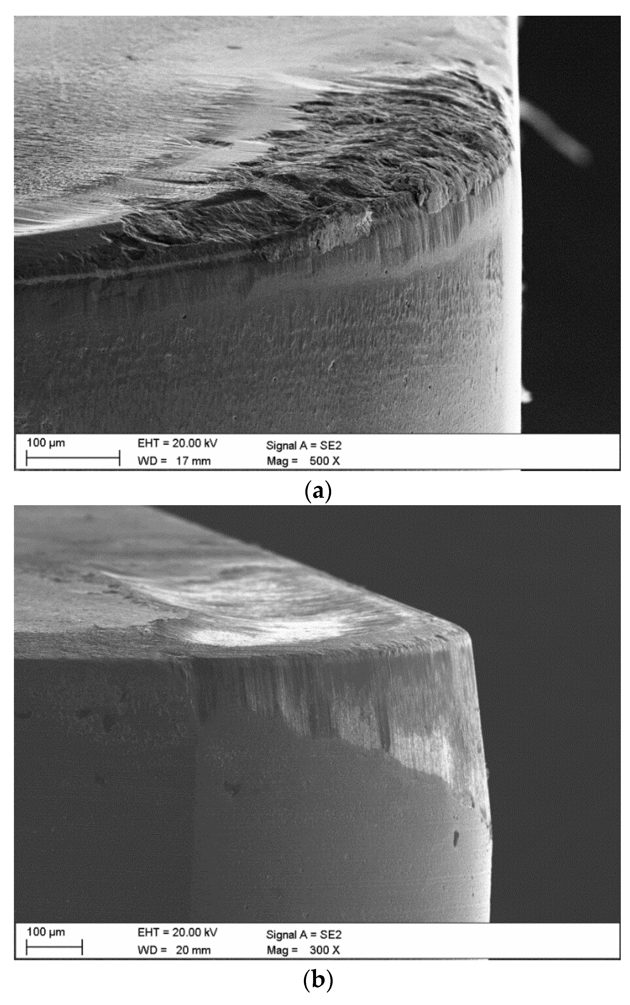 Coatings 11 00157 g006a Coatings 11 00157 g006a