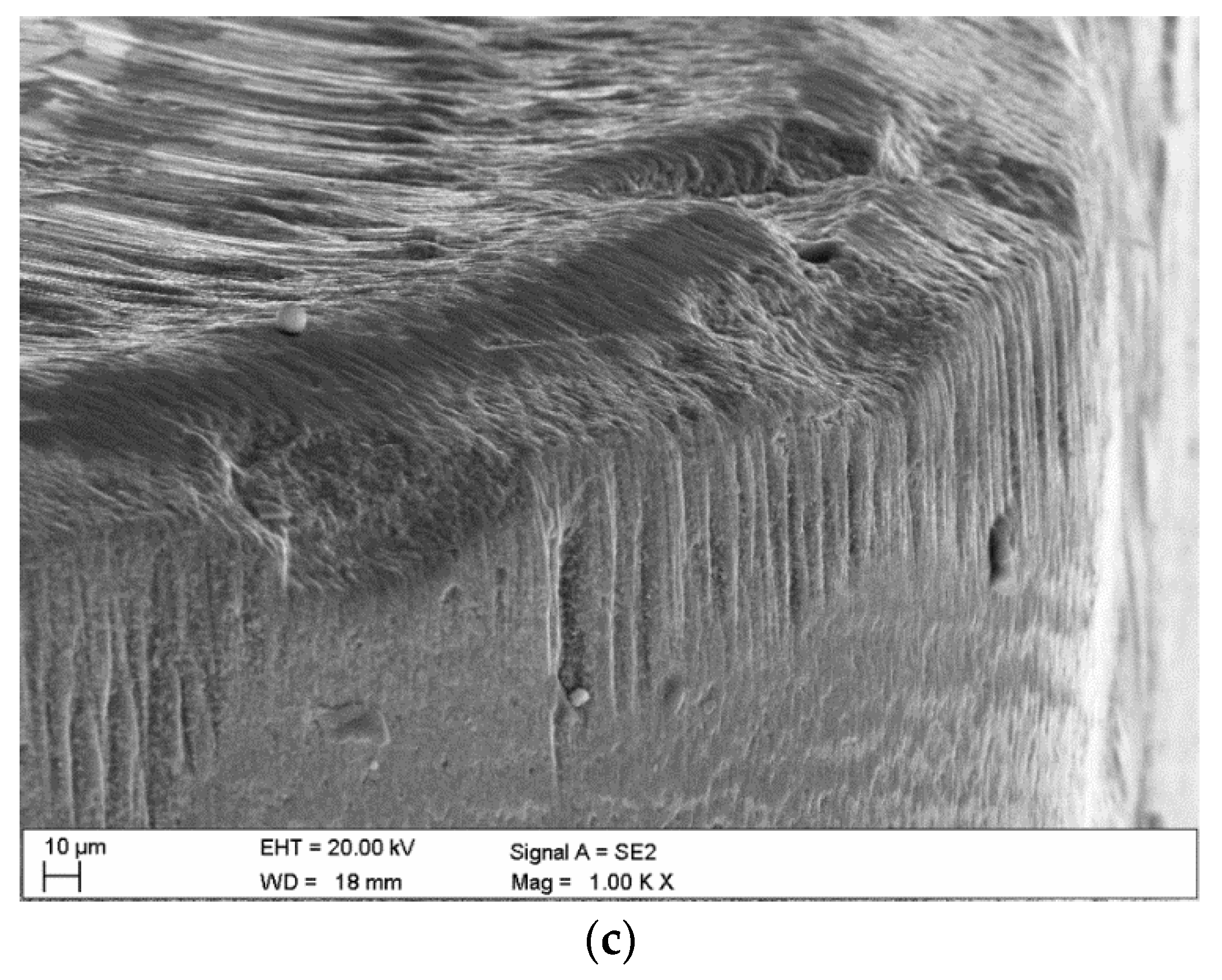 Coatings 11 00157 g006b Coatings 11 00157 g006b