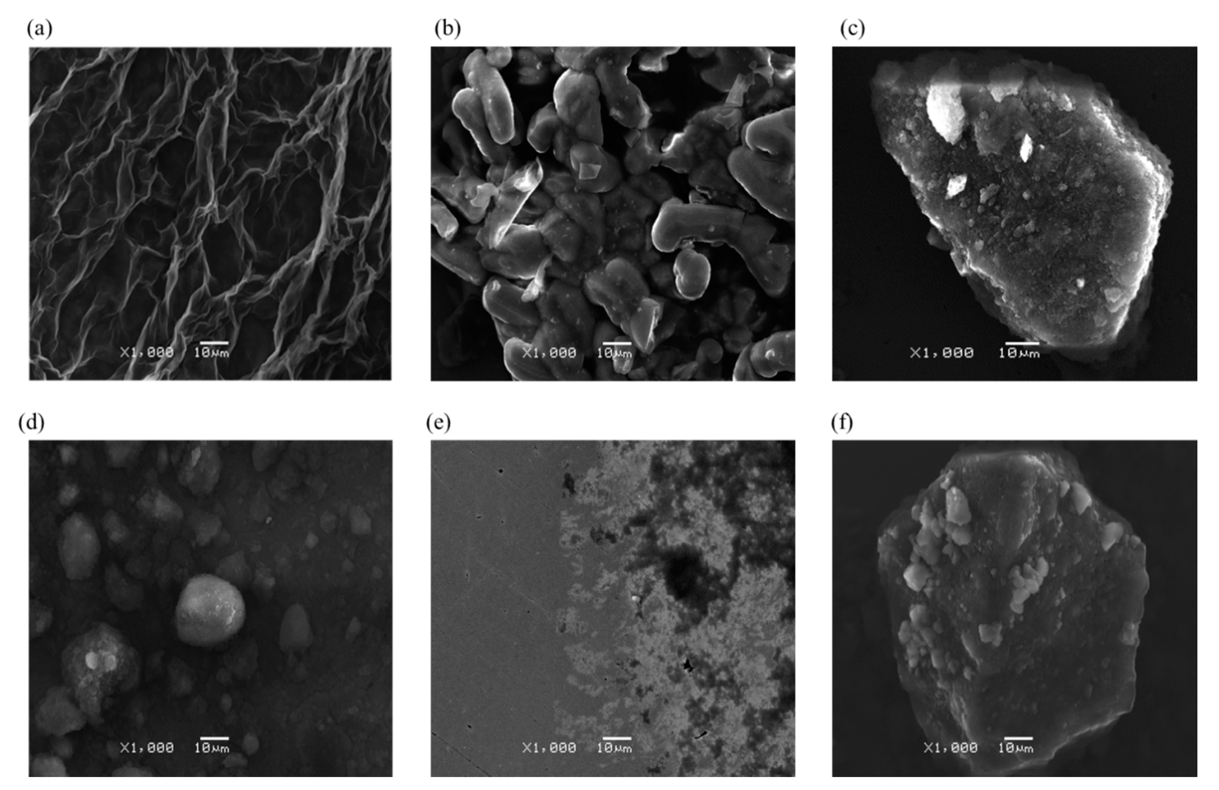 Coatings 11 00161 g004 Coatings 11 00161 g004
