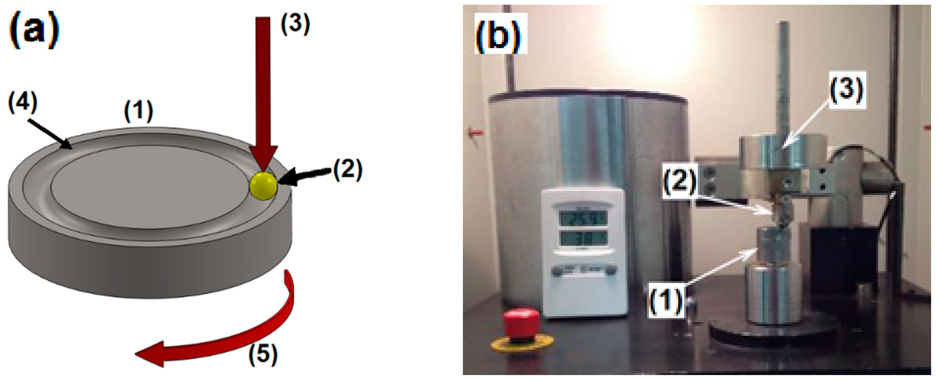 Coatings 11 00168 g001