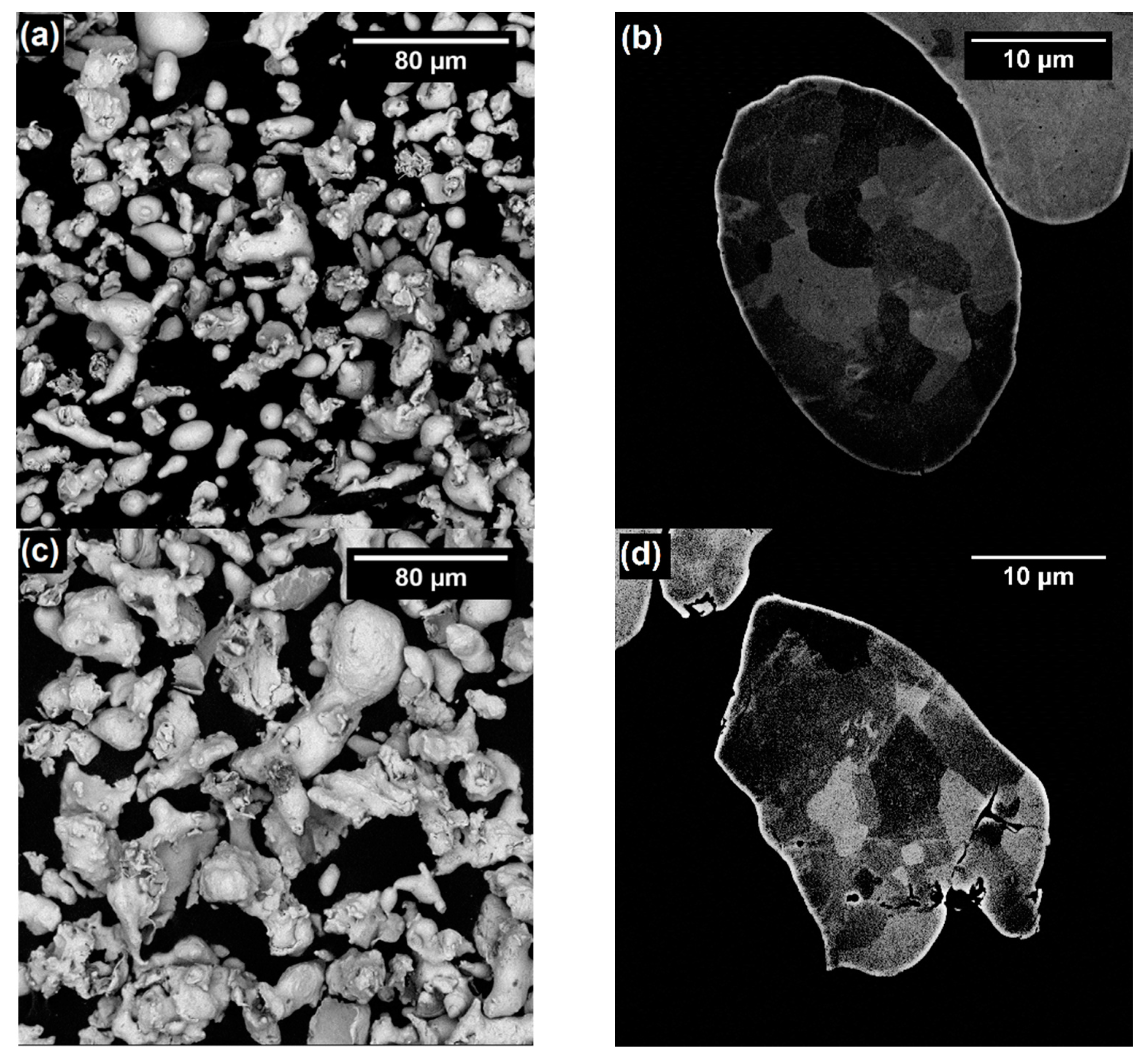 Coatings 11 00168 g002a