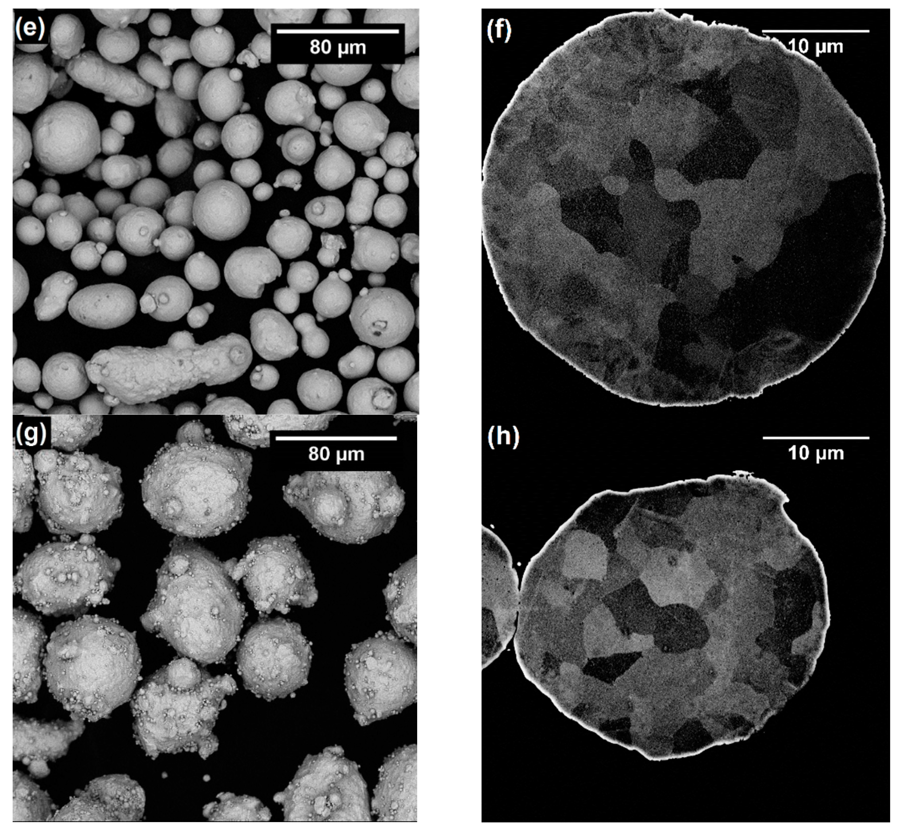 Coatings 11 00168 g002b