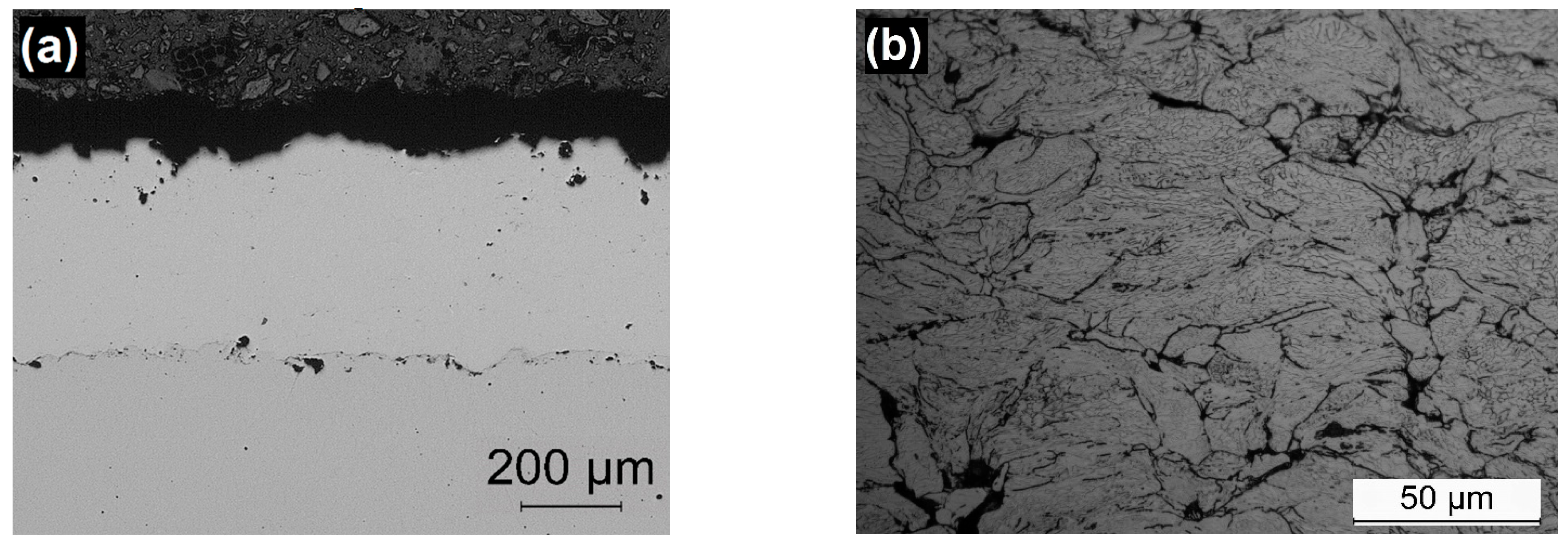 Coatings 11 00168 g005a