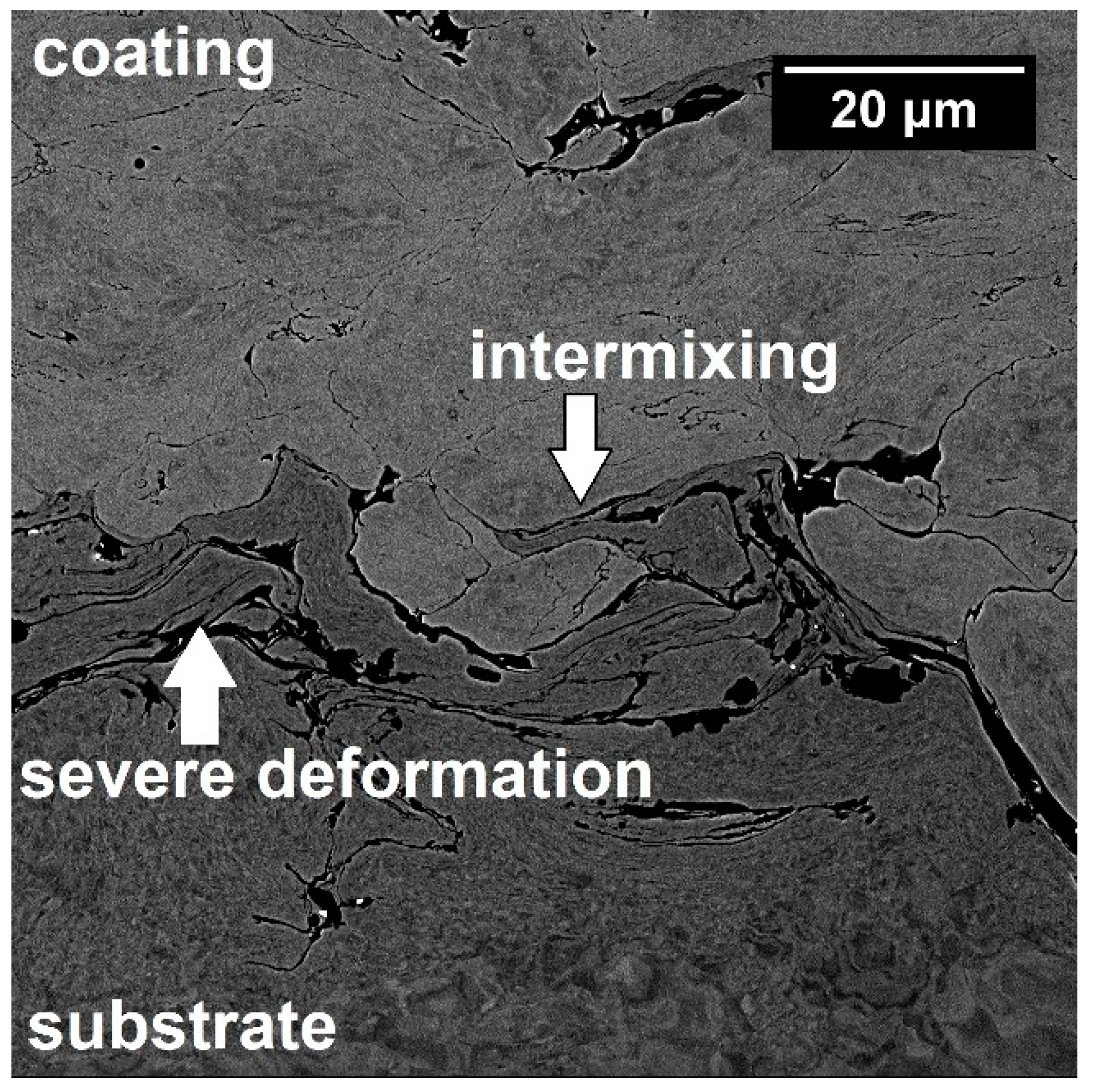 Coatings 11 00168 g006