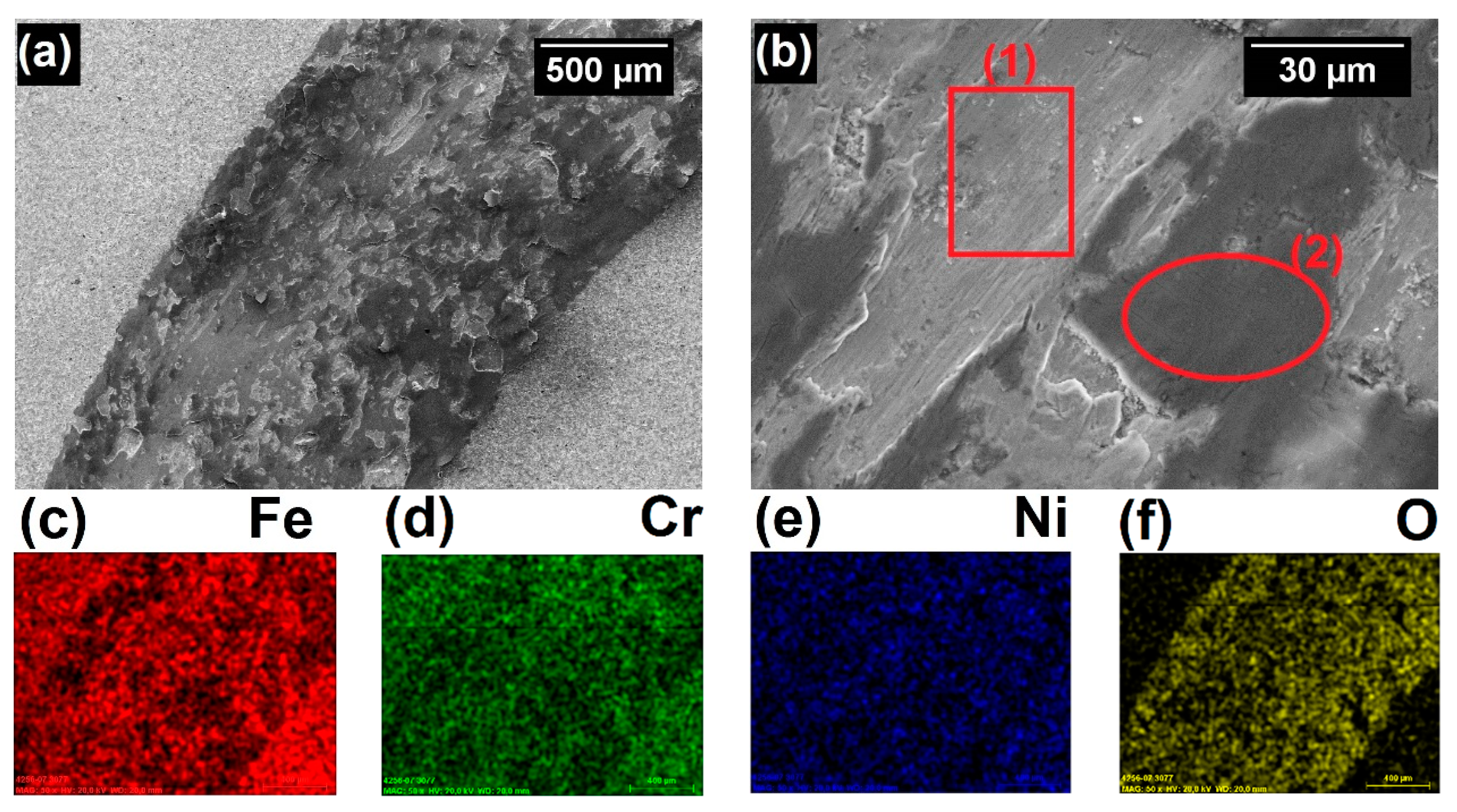 Coatings 11 00168 g010