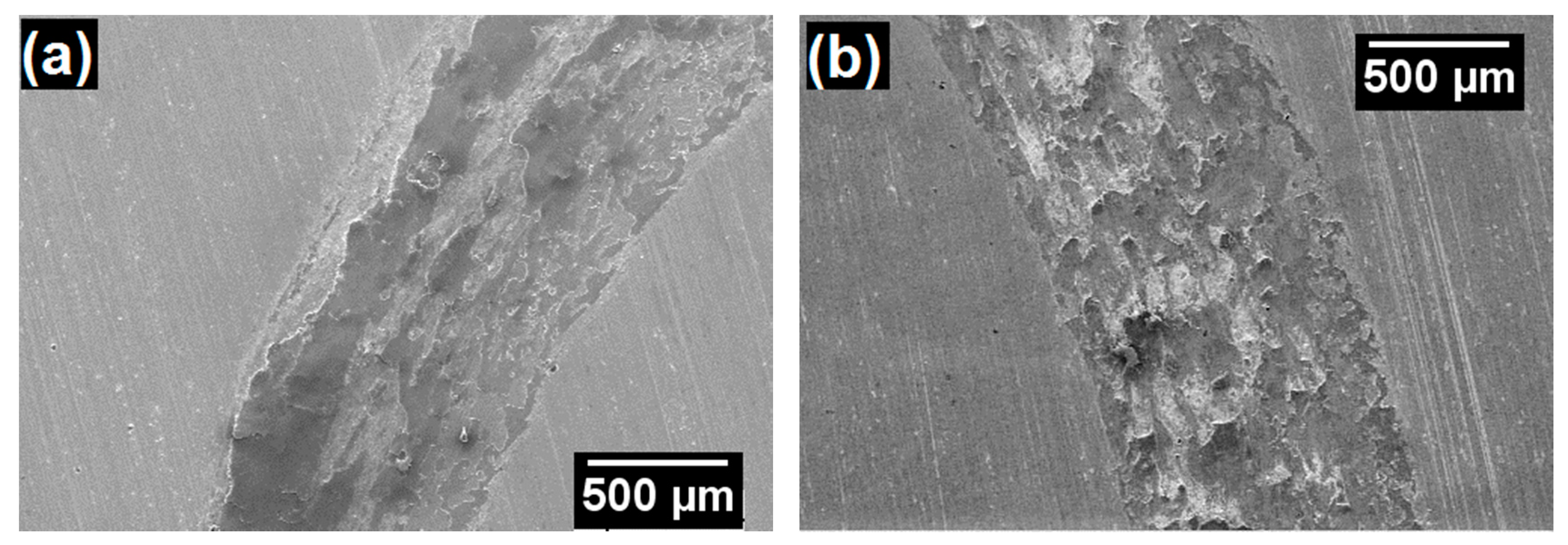 Coatings 11 00168 g011a
