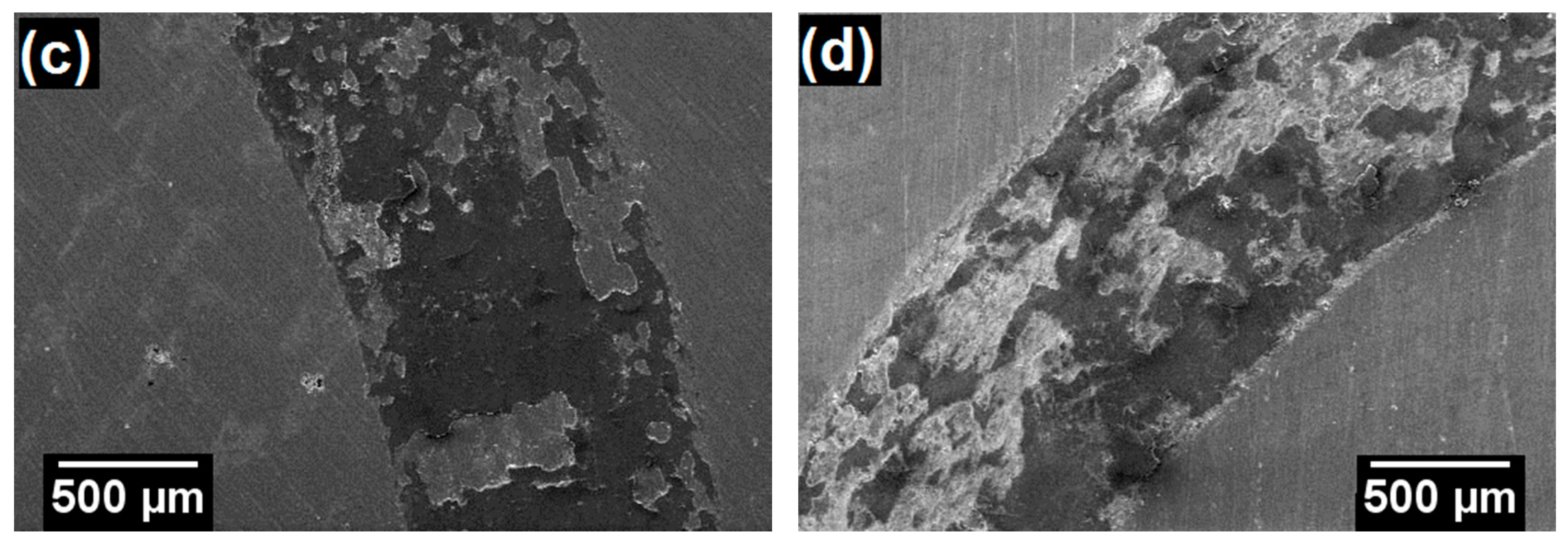 Coatings 11 00168 g011b