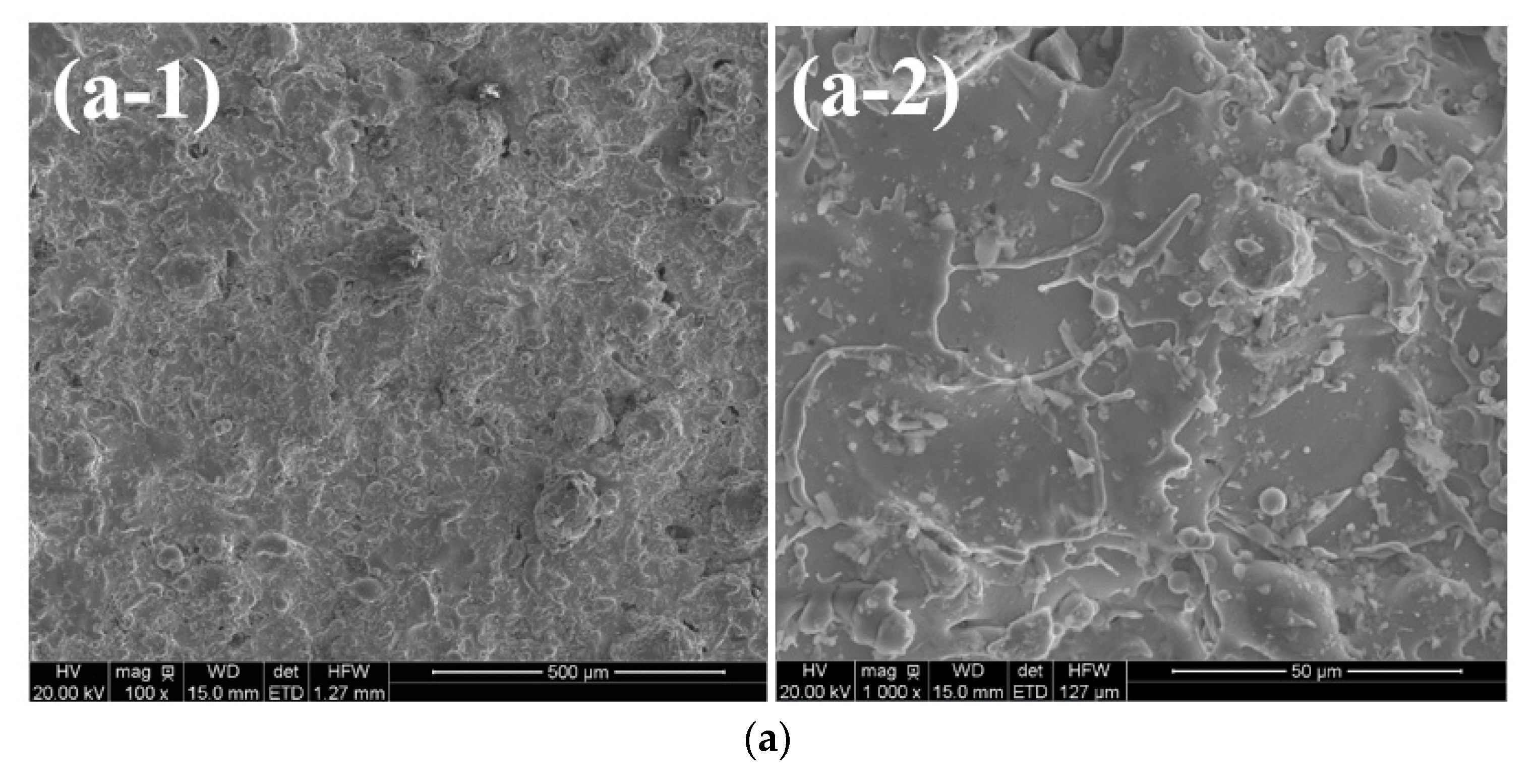 Coatings 11 00170 g004a Coatings 11 00170 g004a